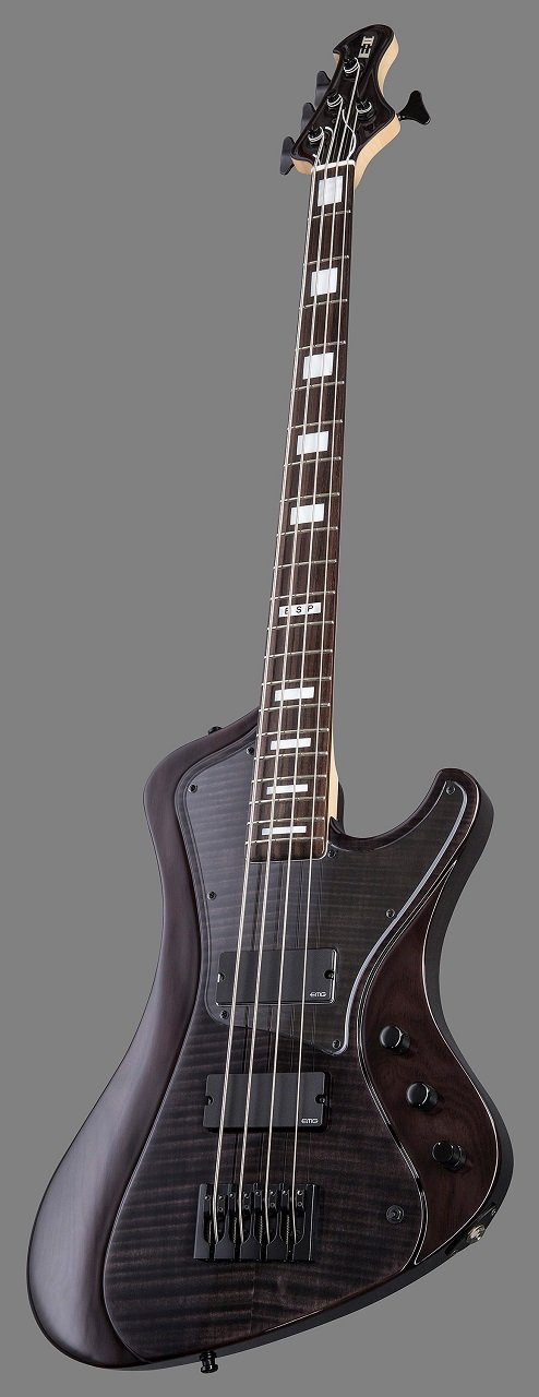 E-II Stream Bass, Flamed Maple, See-Thru-Black