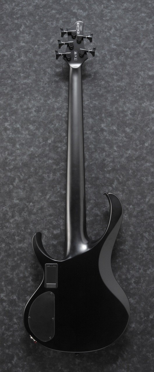 BTB625EX Iron Label Bass Black Flat