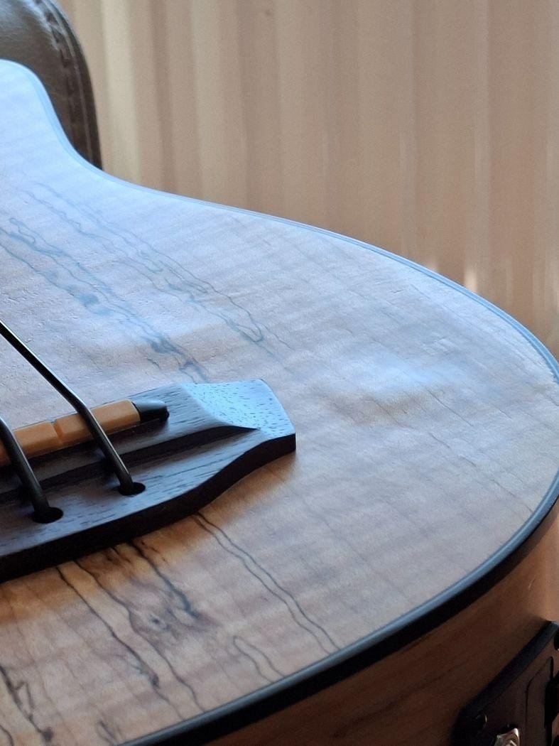 U-Bass Spalted Maple Fretted with Deluxe Bag (B-Stock)