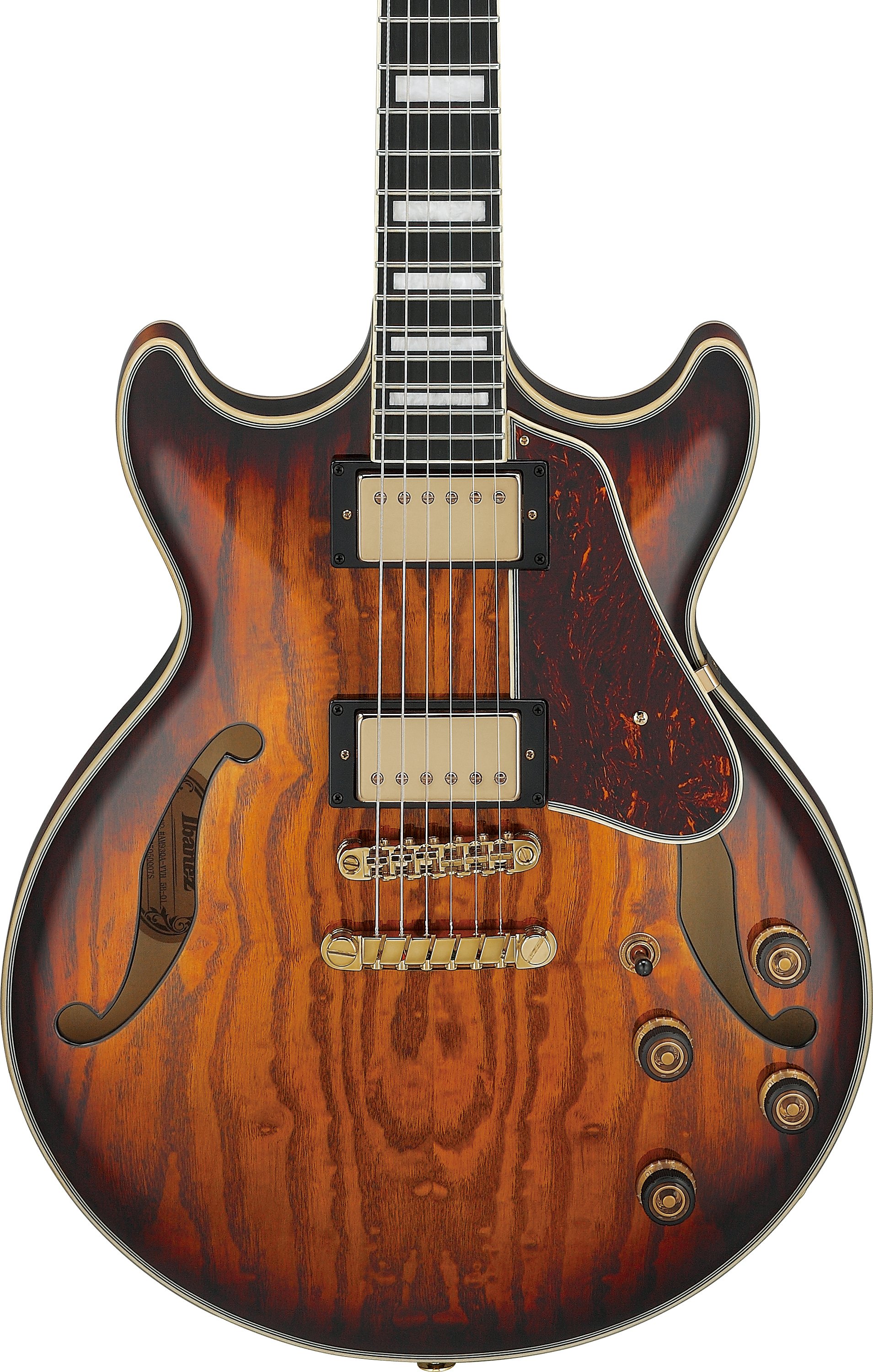 AM93QA-VVH Hollowbody Gitarre