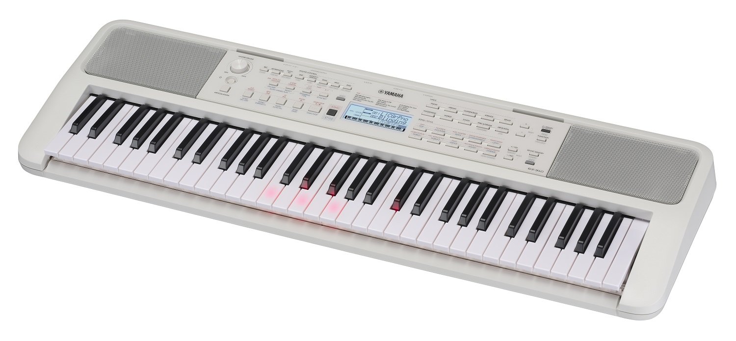 EZ-310 Leuchttasten-Keyboard