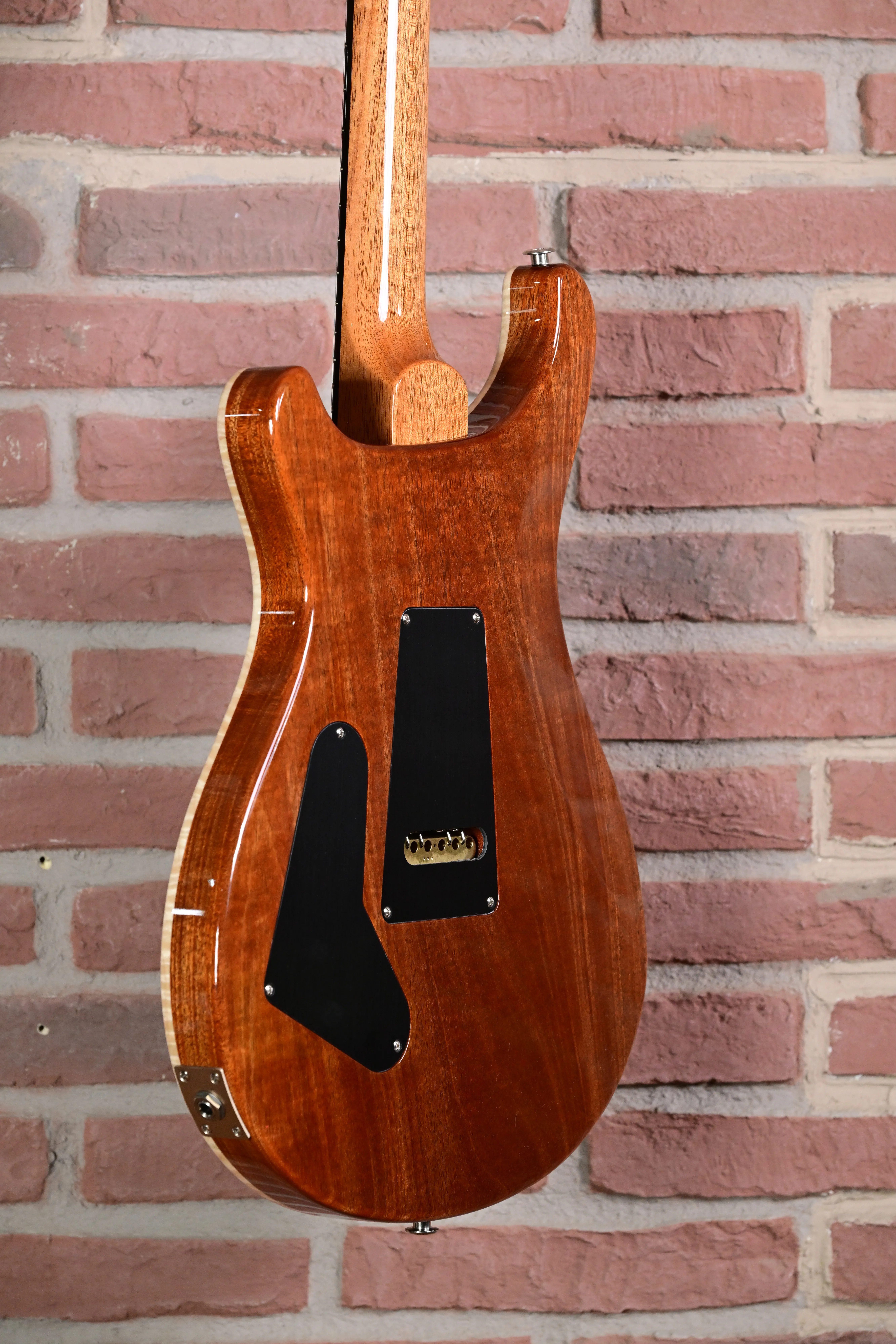 Custom 24 Birds of a Feather Limited Charcoal Microburst E-Gitarre