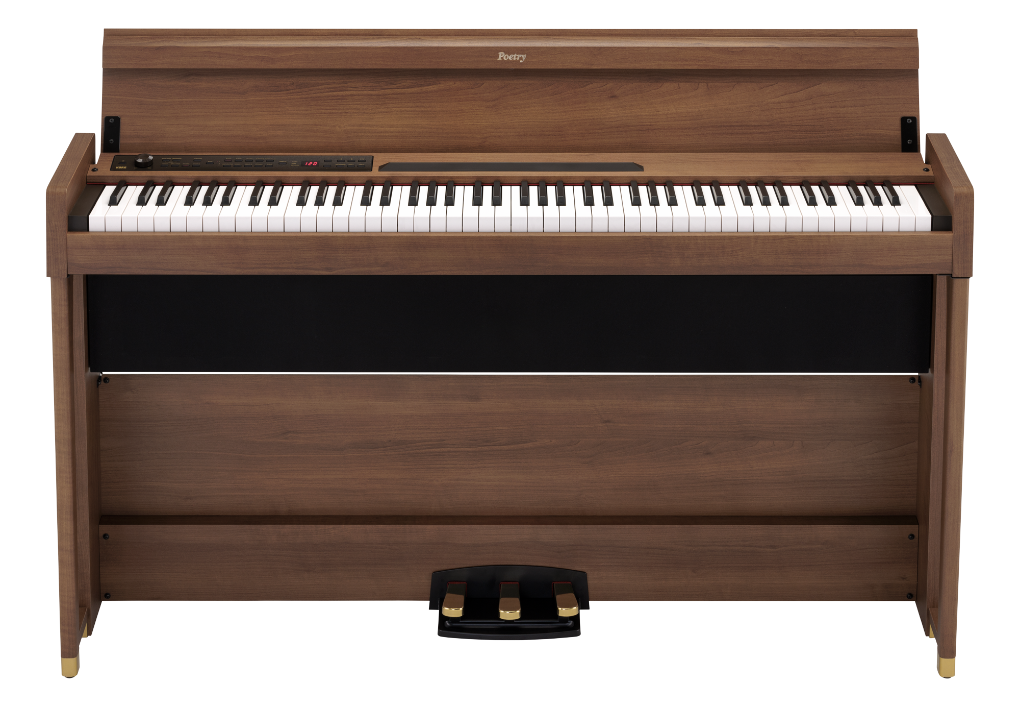 Poetry Digitalpiano in Poetic Braun