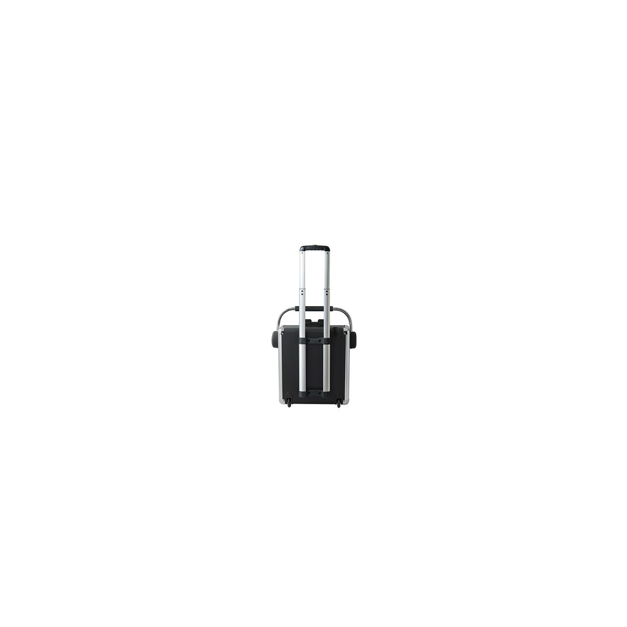 MPA 3000 - mobiles PA System  