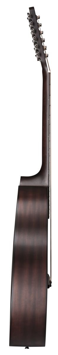 X11LS/F-AB-12 12-saitige Westerngitarre