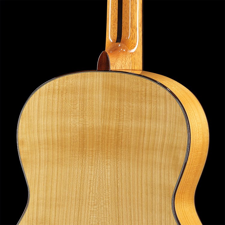 Flamenco KF