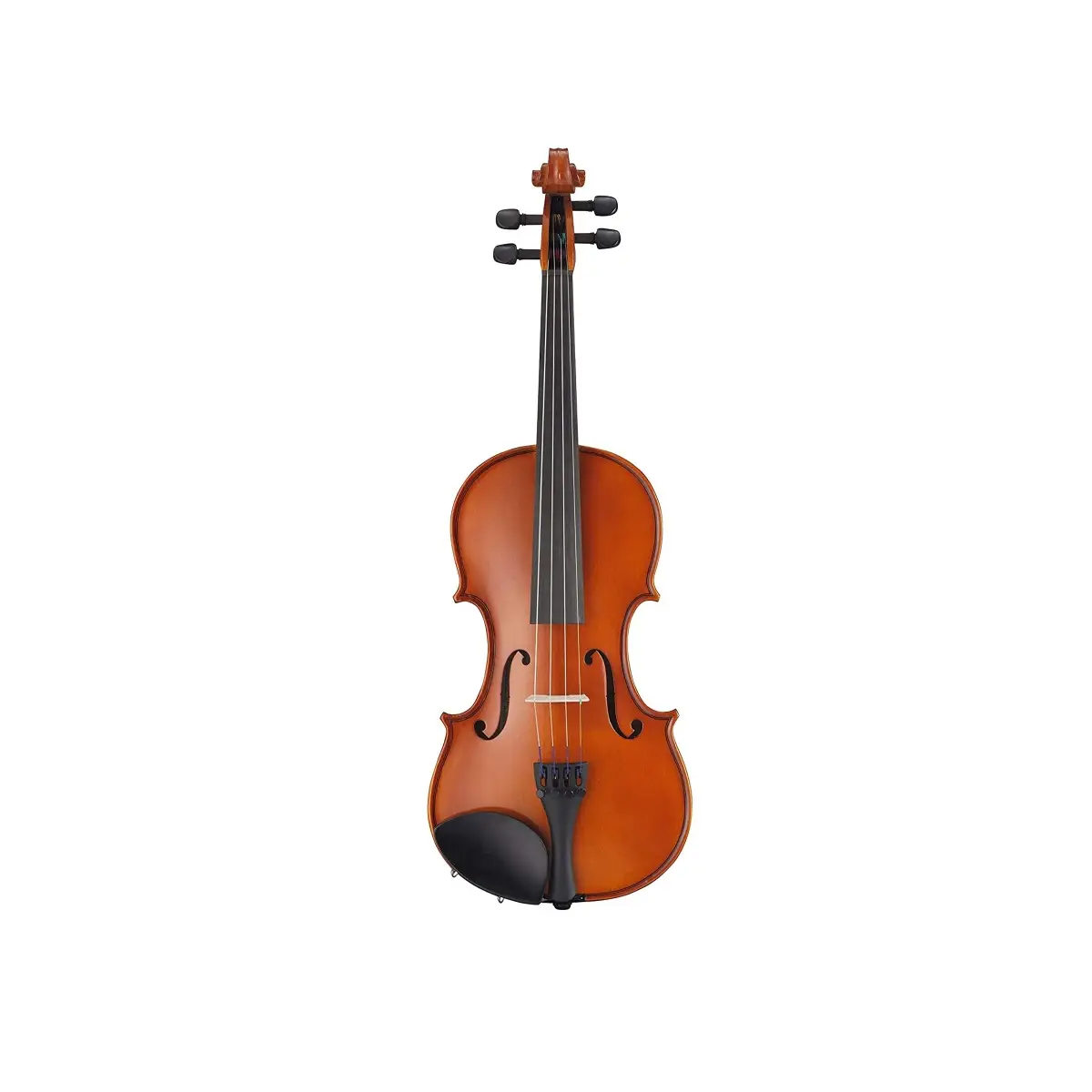 V3-SKA 4/4 Violinset 