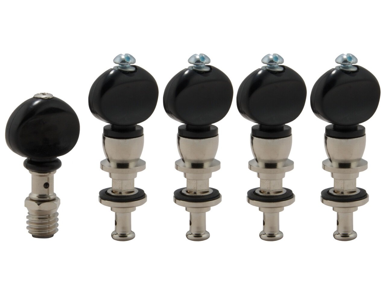 25B Champion Banjo Pegs with Black Button - 5 pcs. - Nickel
