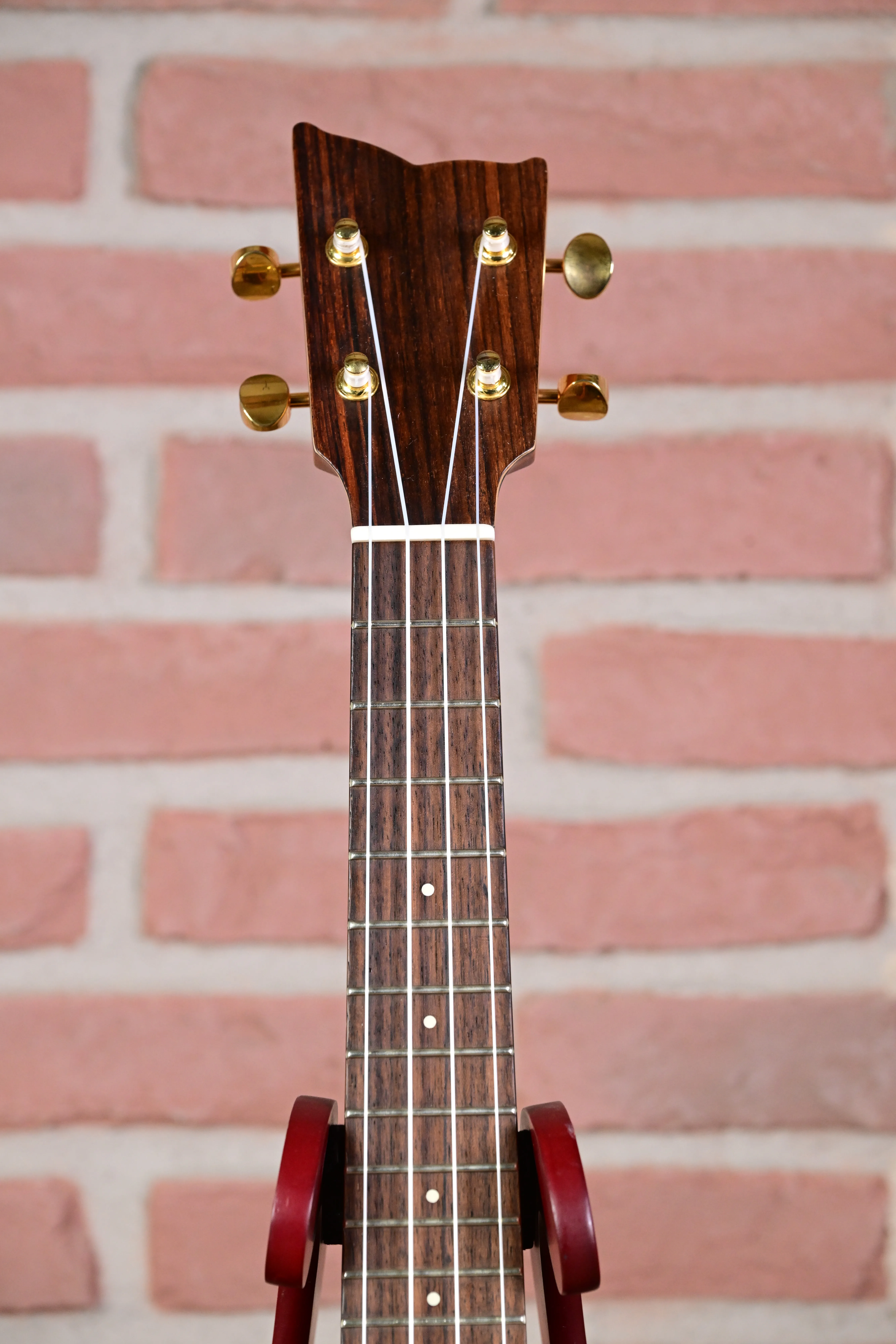 Coco Concert Ukulele