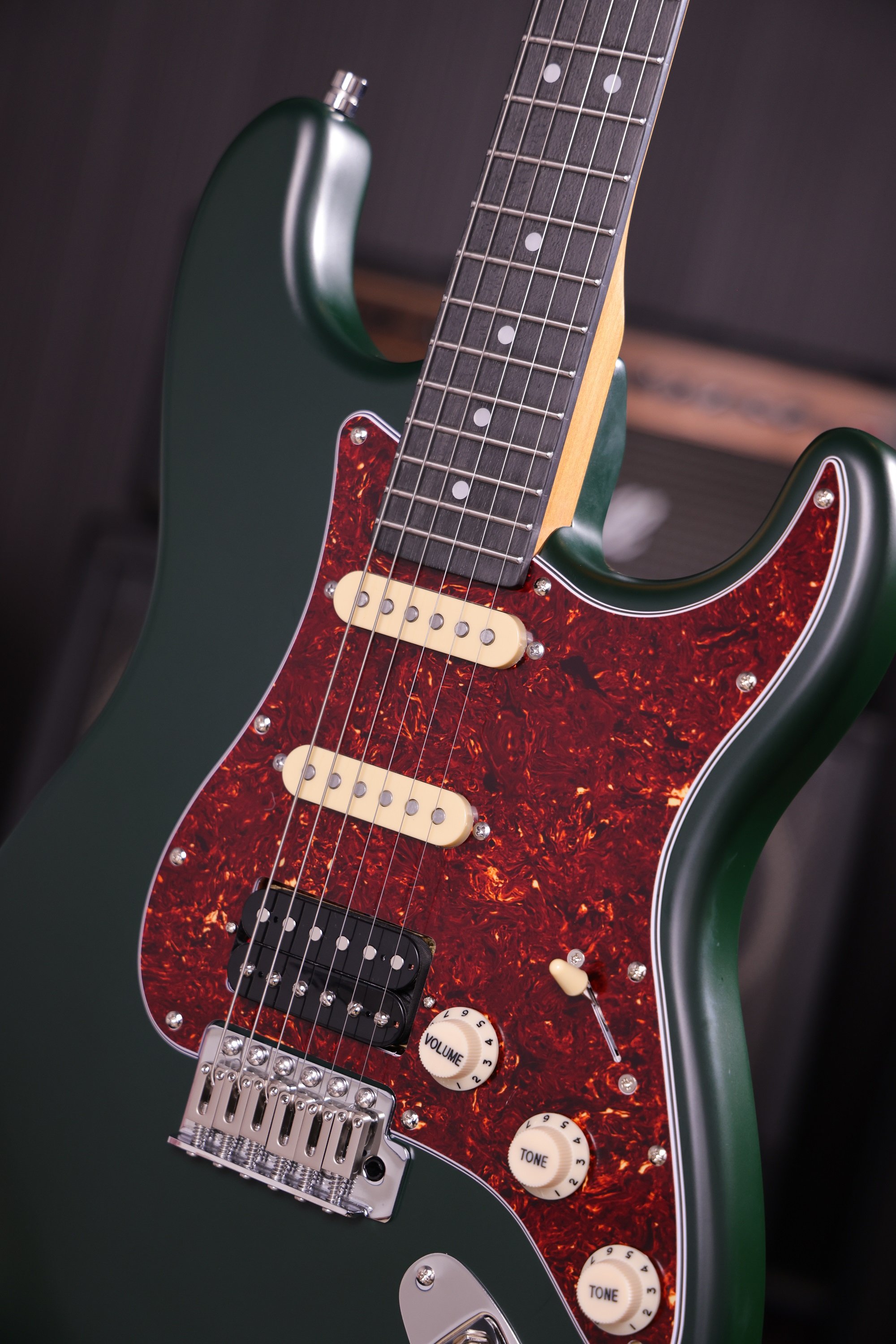 PS-4 SGR Sherwood Green E-Gitarre