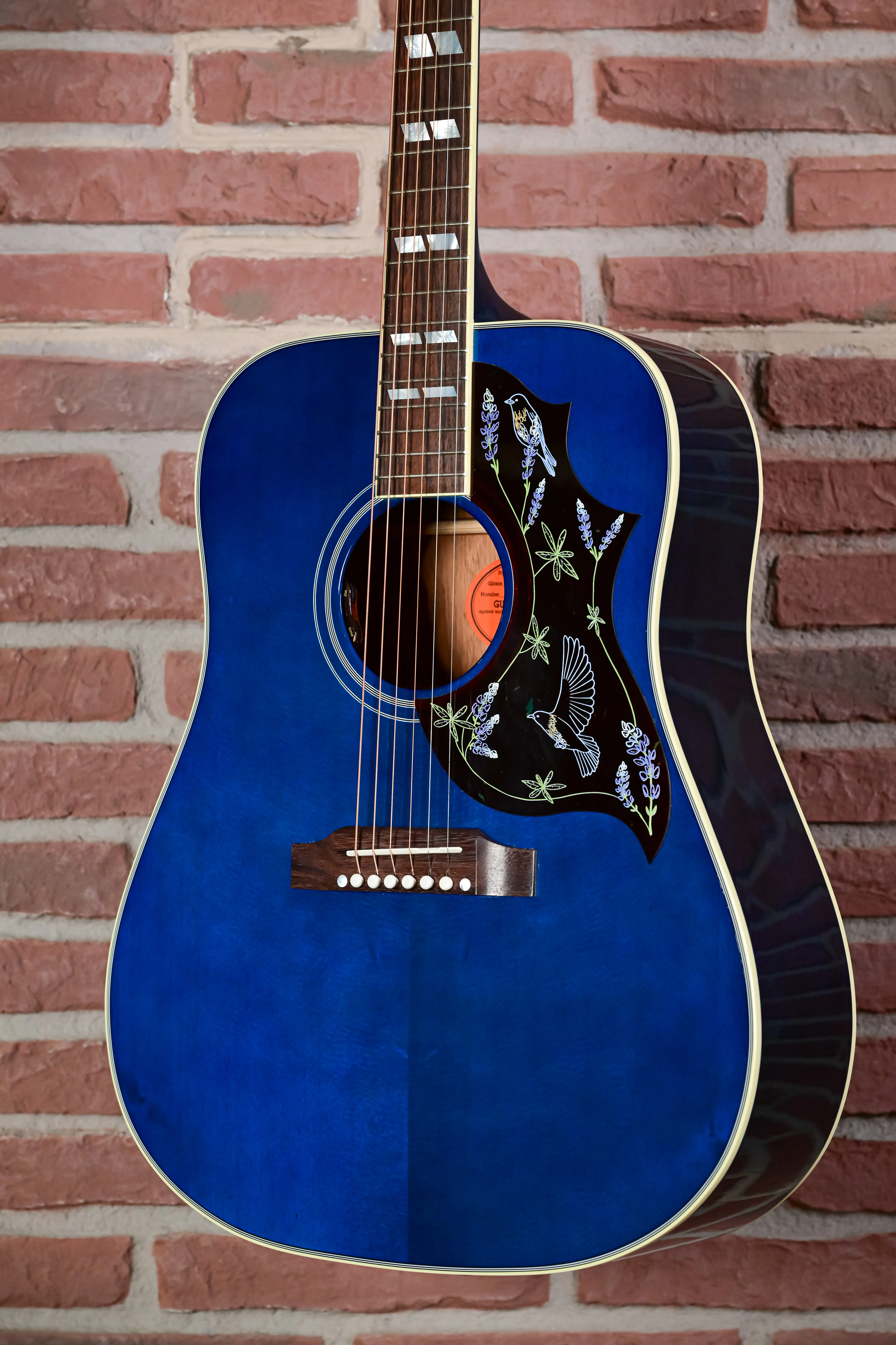 Miranda Lambert Bluebird Bluebonnet