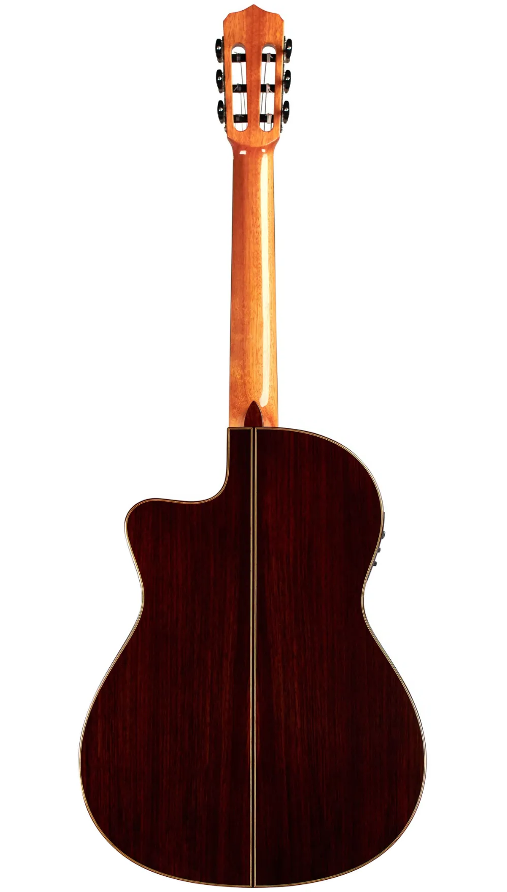 Fusion 12 Rose II