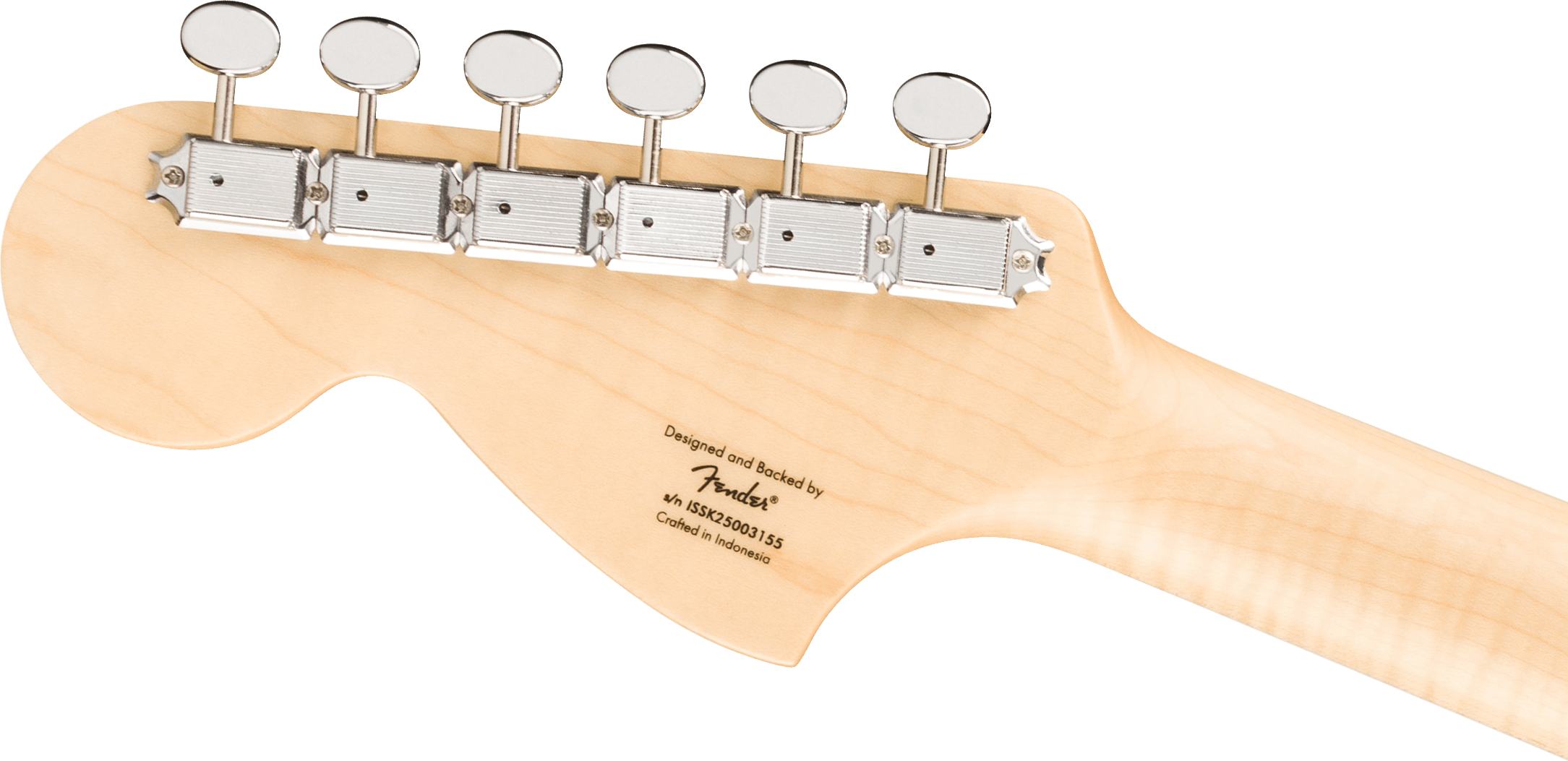 Paranormal Troublemaker Telecaster Deluxe Bigsby Black E-Gitrarre