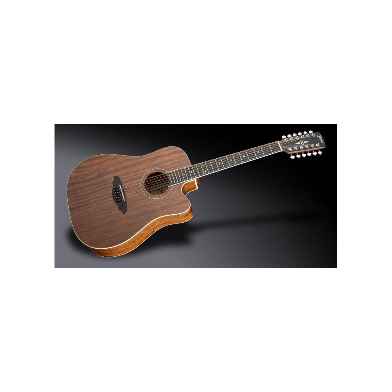 FD 14 M 12-String Dreadnought NTS
