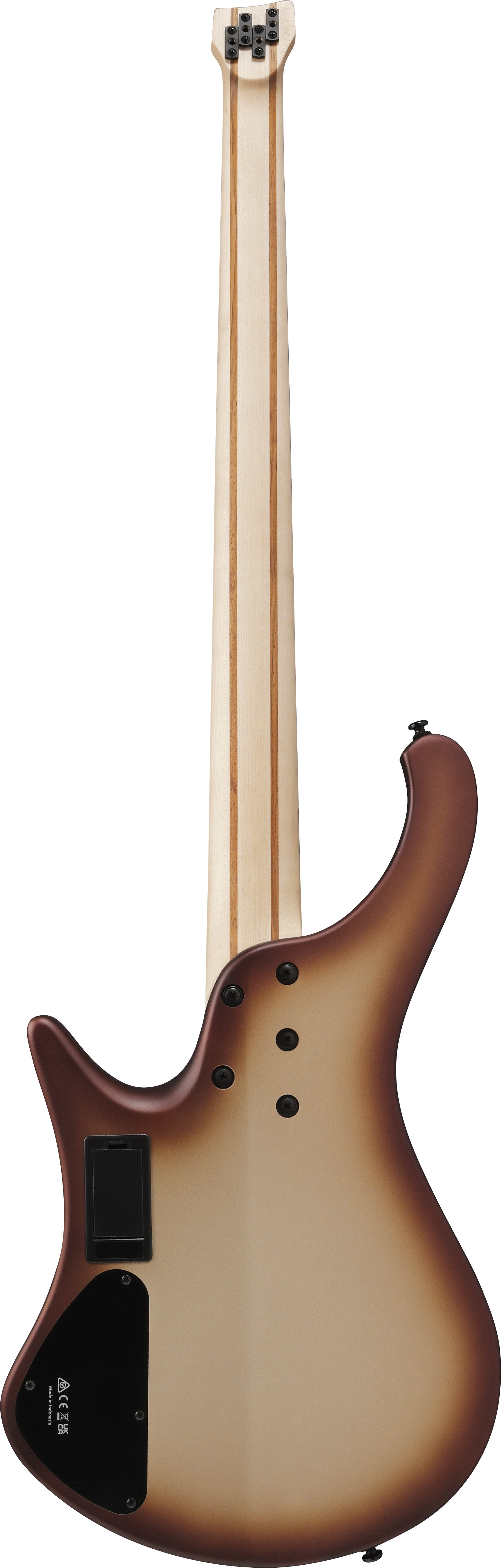 EHB600-CCM 4-Saiter Bass Charred Champagne Burst