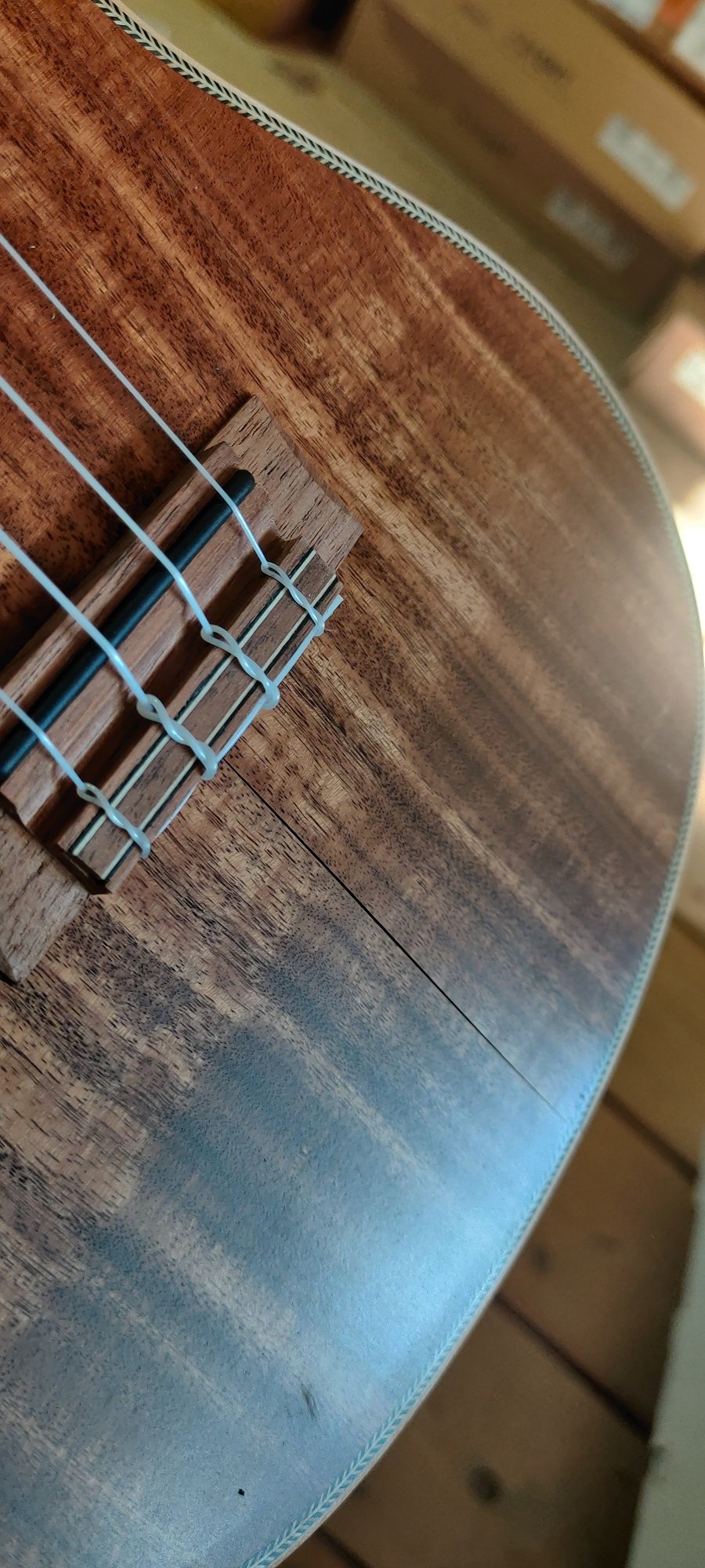KA-SA-C - All Solid Acacia Concert Ukulele with Case B-Stock