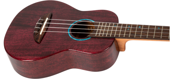 Iris Tinta Concert TPP Ukulele