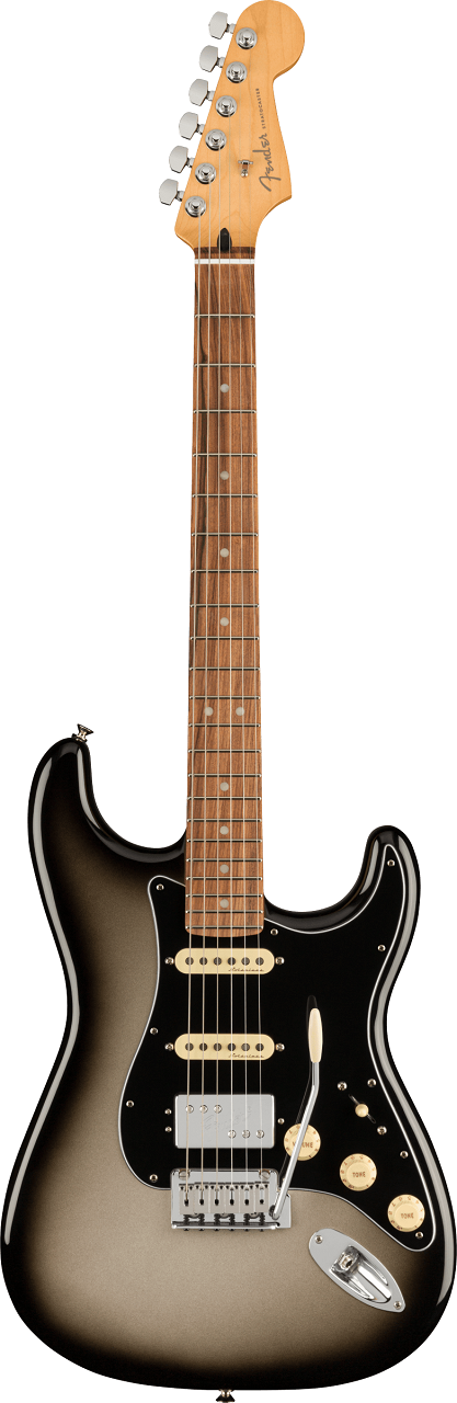 Player Plus Stratocaster® HSS, Pau Ferro Fingerboard, Silverburst