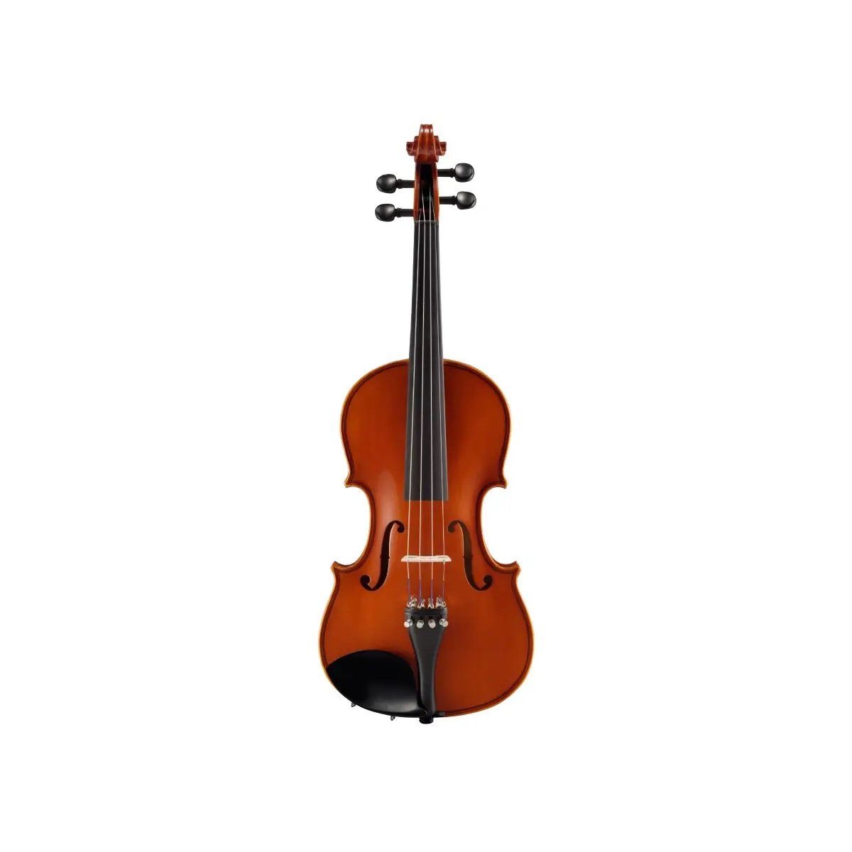 V5SA 4/4 Violin Set 4/4 