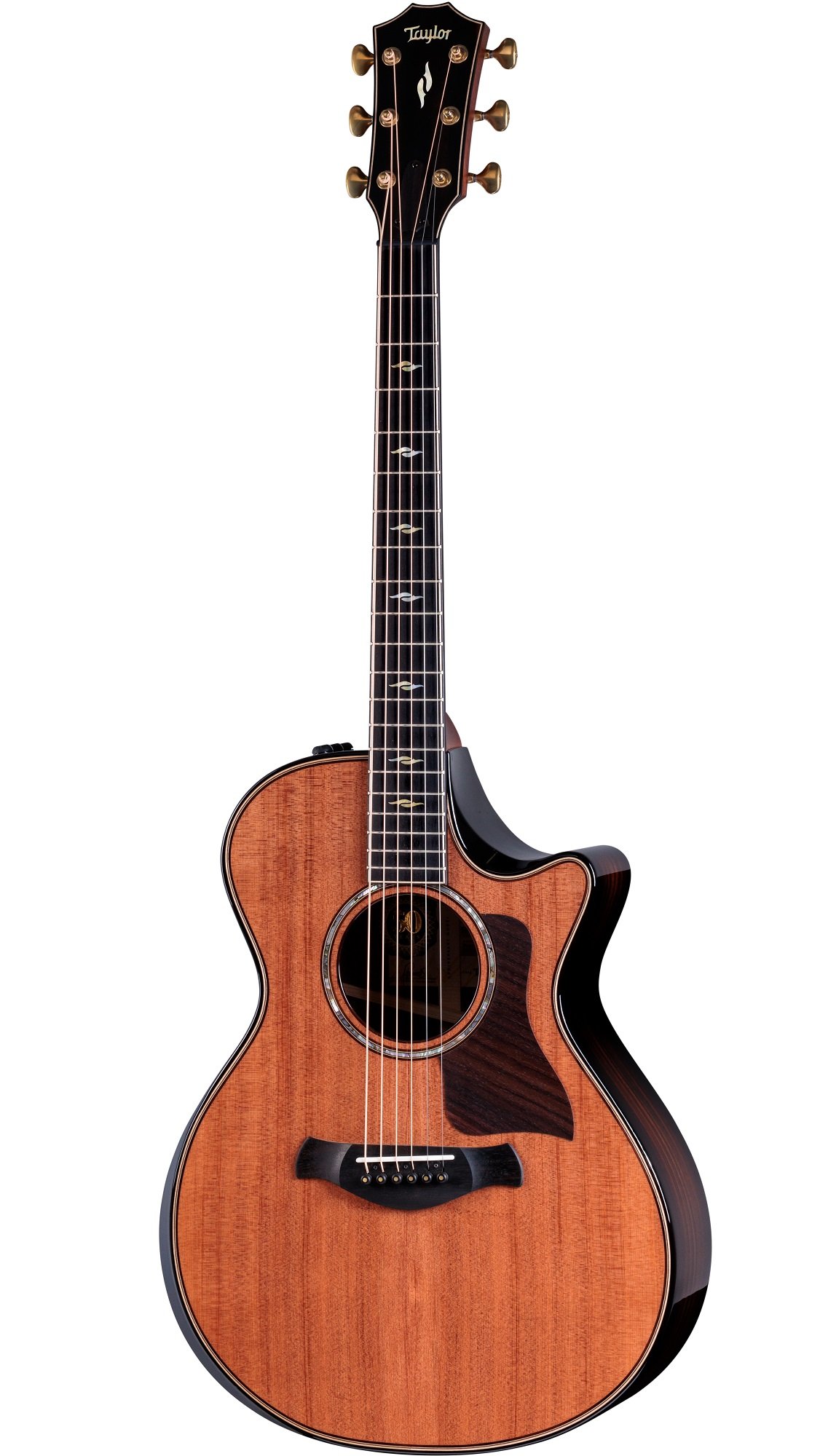 Builder's Edition 812ce LTD 50th Anniversary