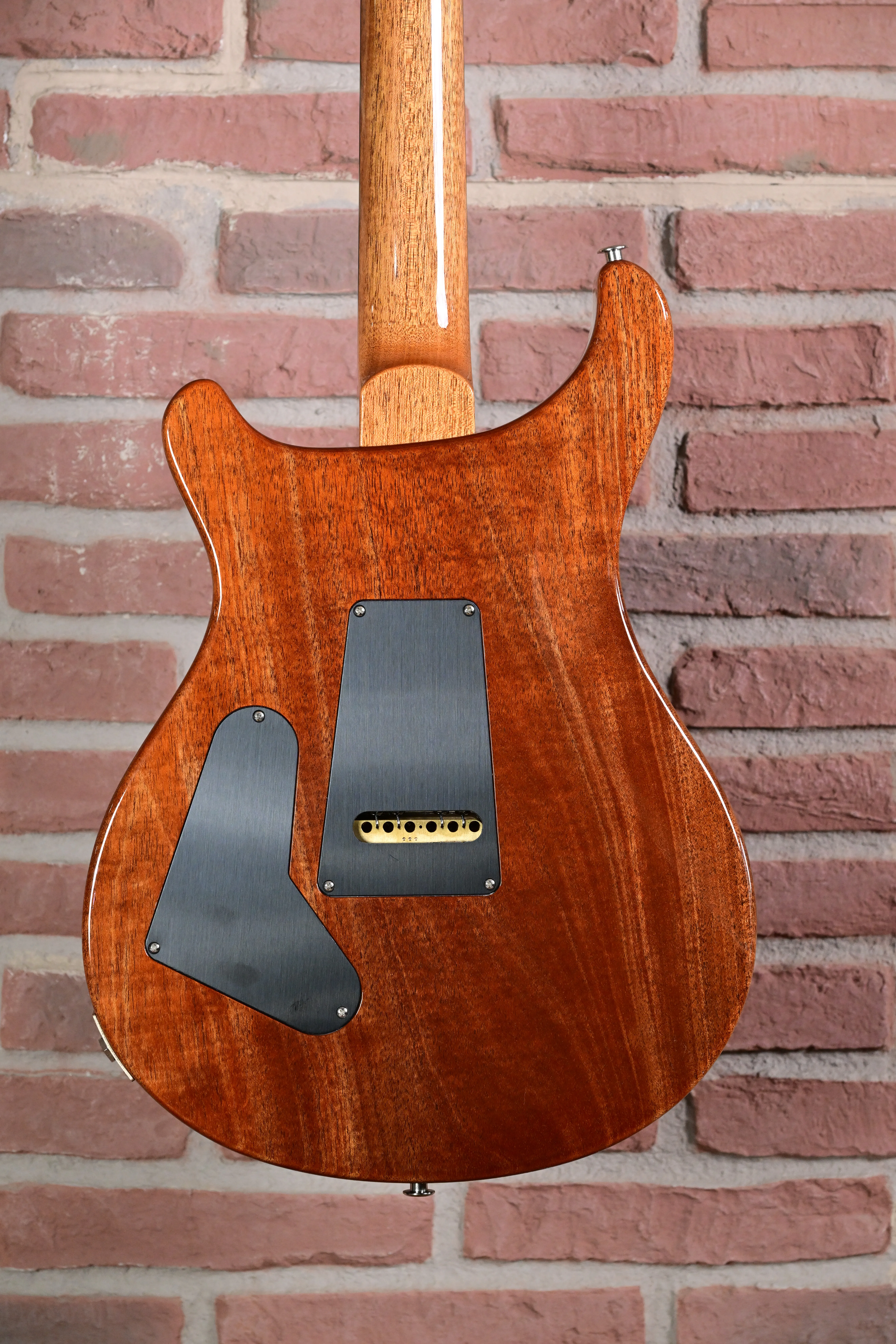 Custom 24 Birds of a Feather Limited Charcoal Microburst E-Gitarre