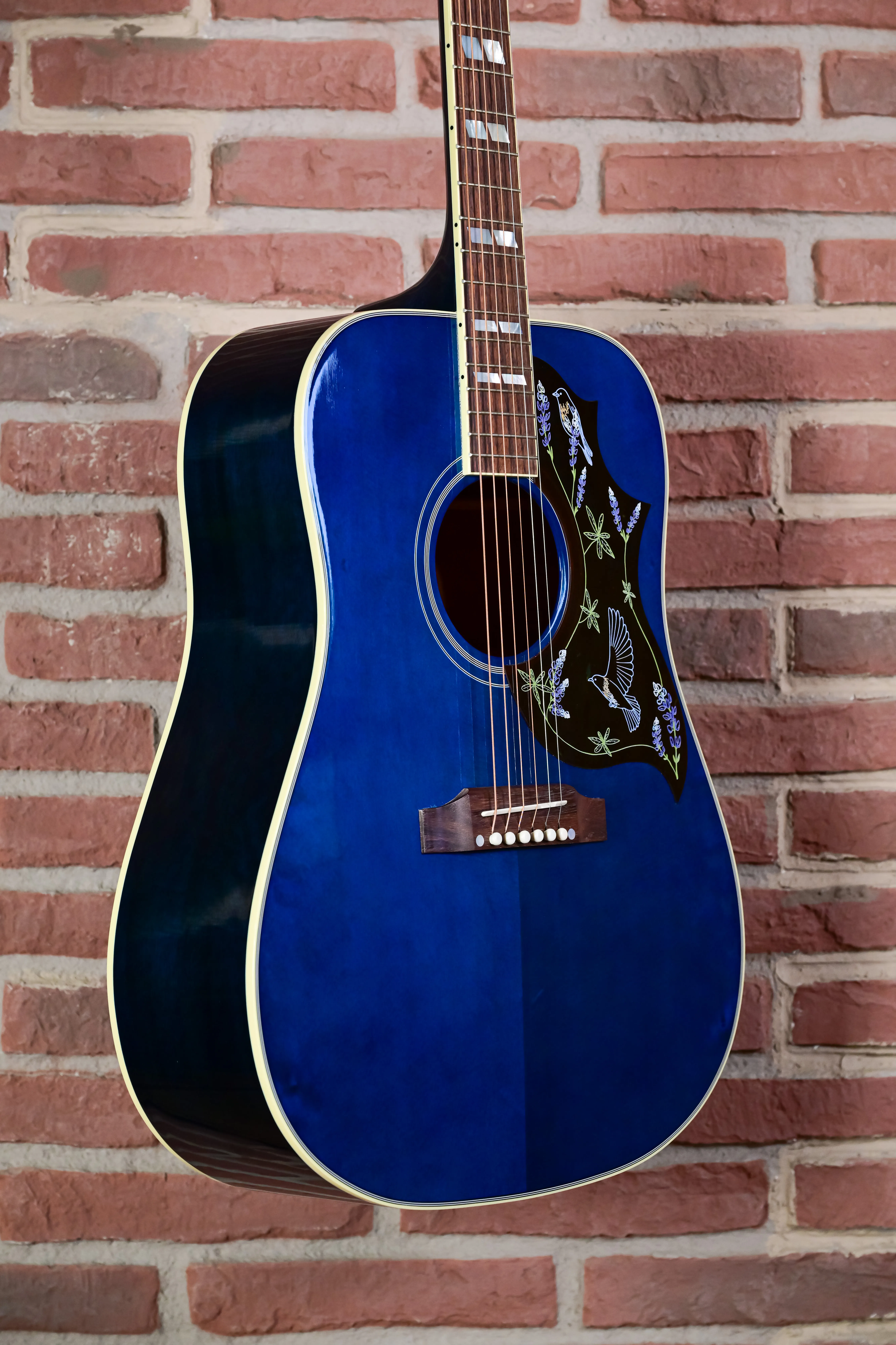 Miranda Lambert Bluebird Bluebonnet