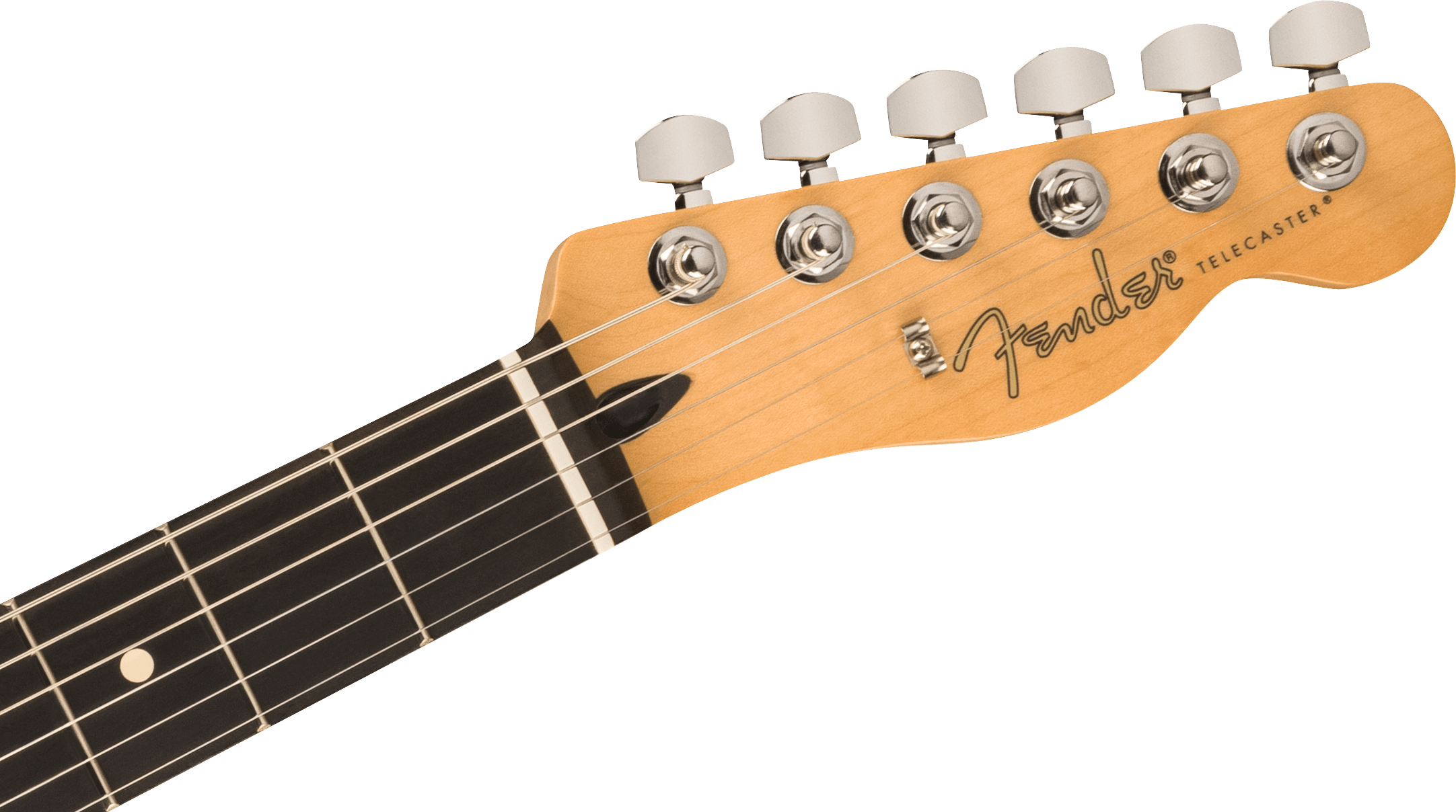 Limited Edition Player Telecaster®, Ebony Fingerboard, Oxblood