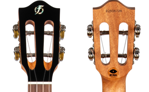 Iris Concert Calantas