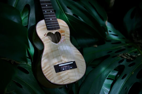 Dove of PeaceUkulele Maple Top Solid +Aged Wood Concert