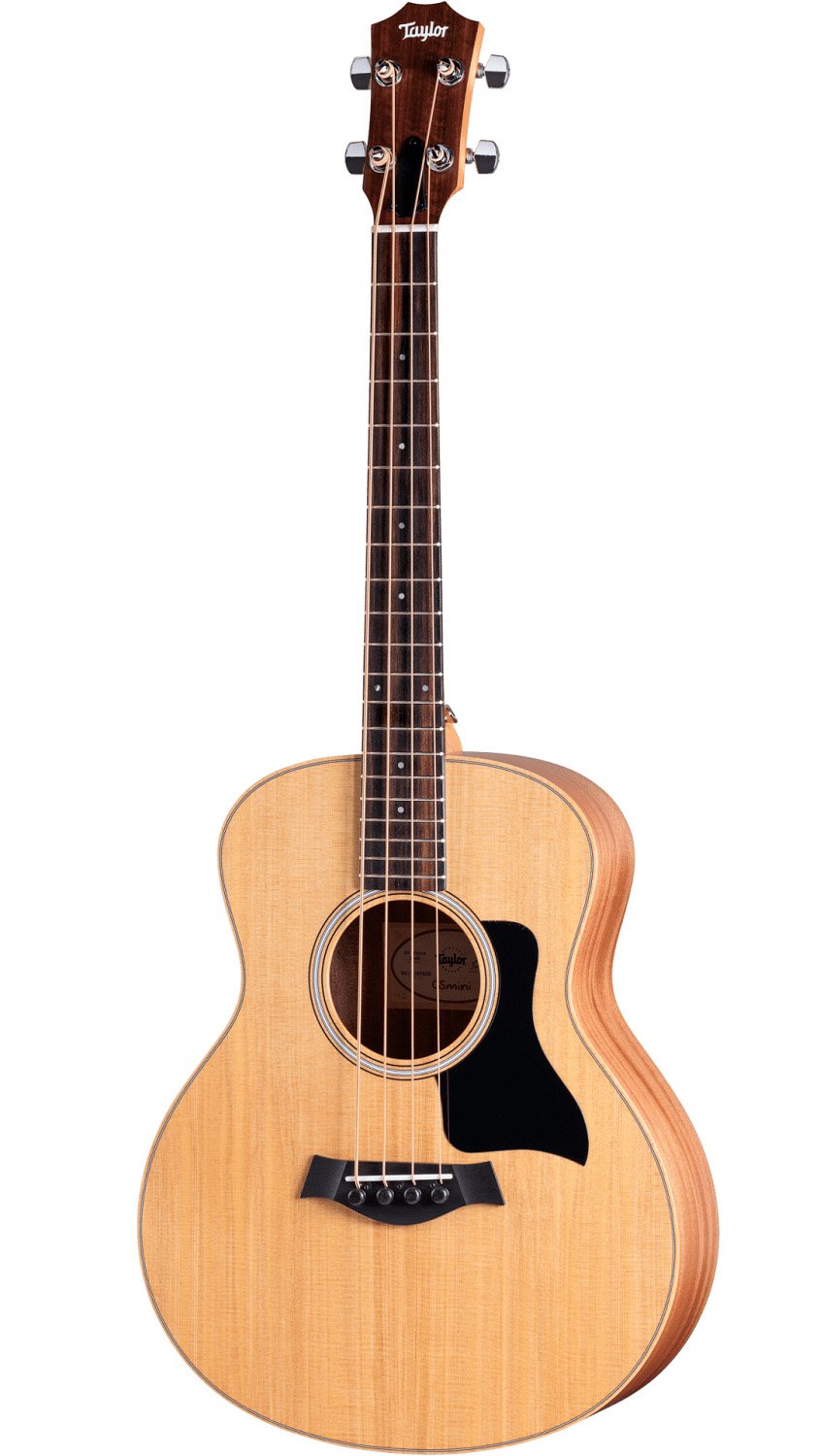 GS Mini-e Bass - gebraucht