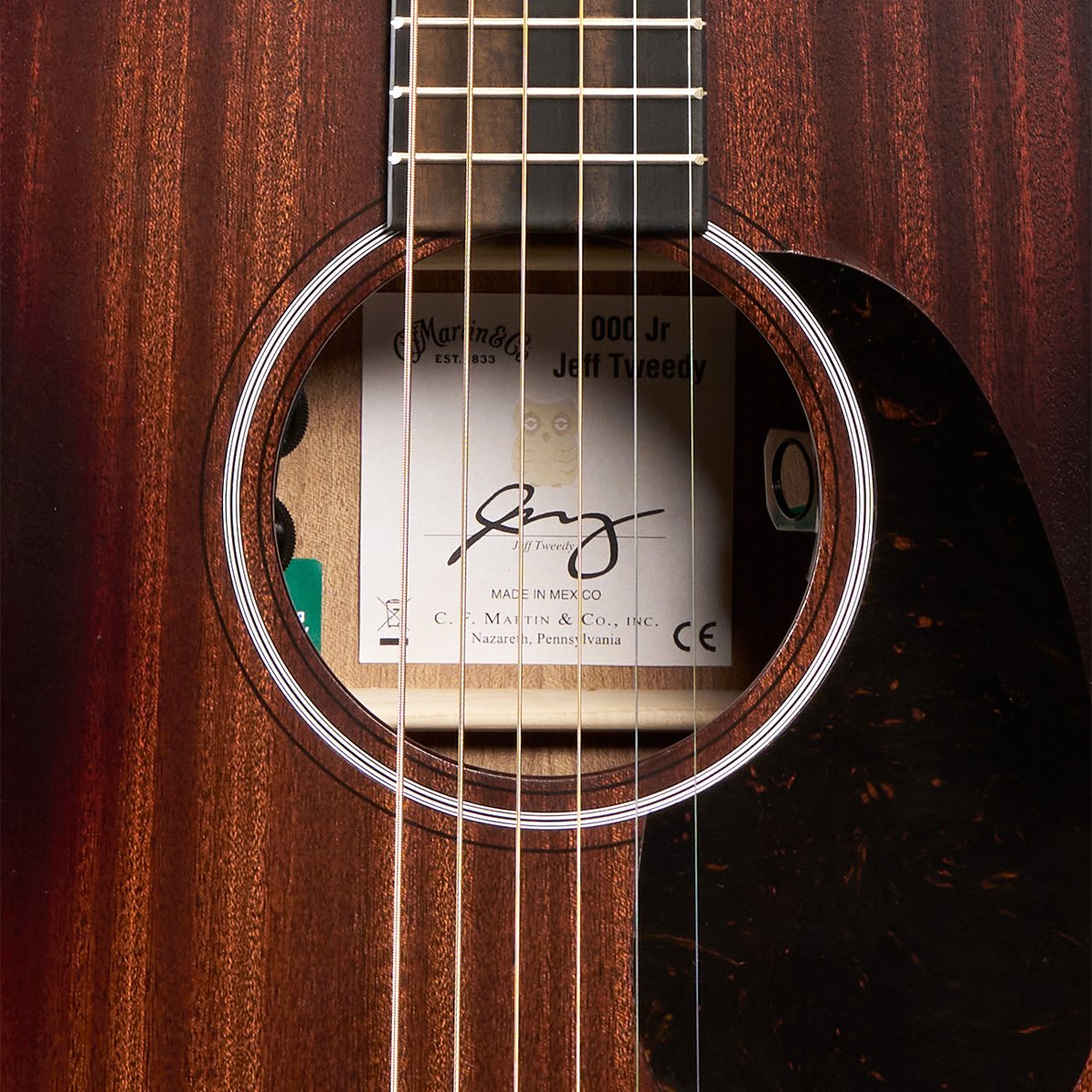 000JRE Jeff Tweedy Signature Westerngitarre