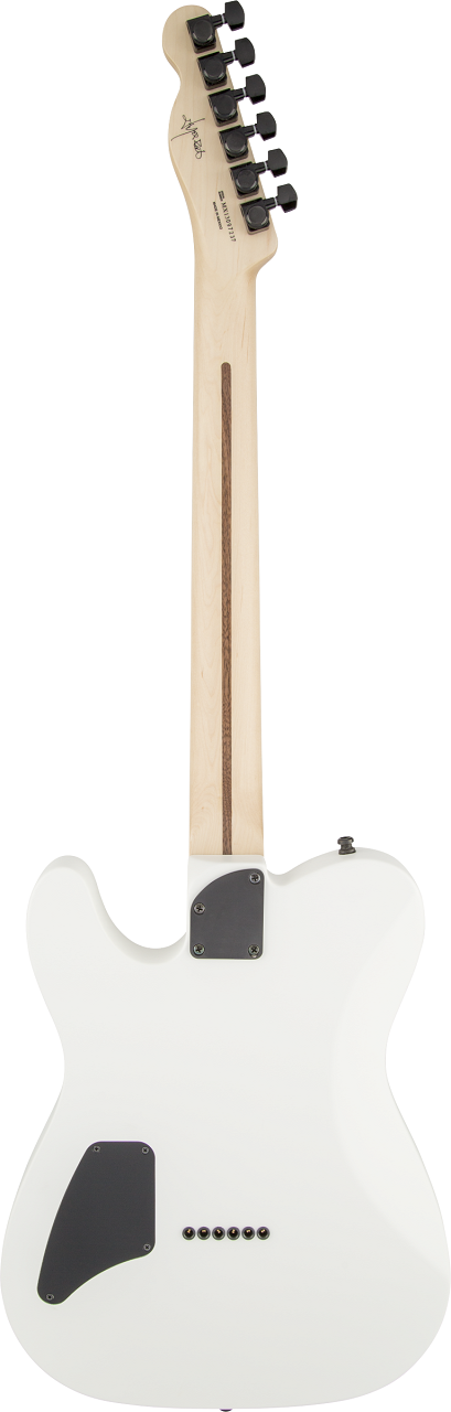 Jim Root Signature Telecaster, Flat White