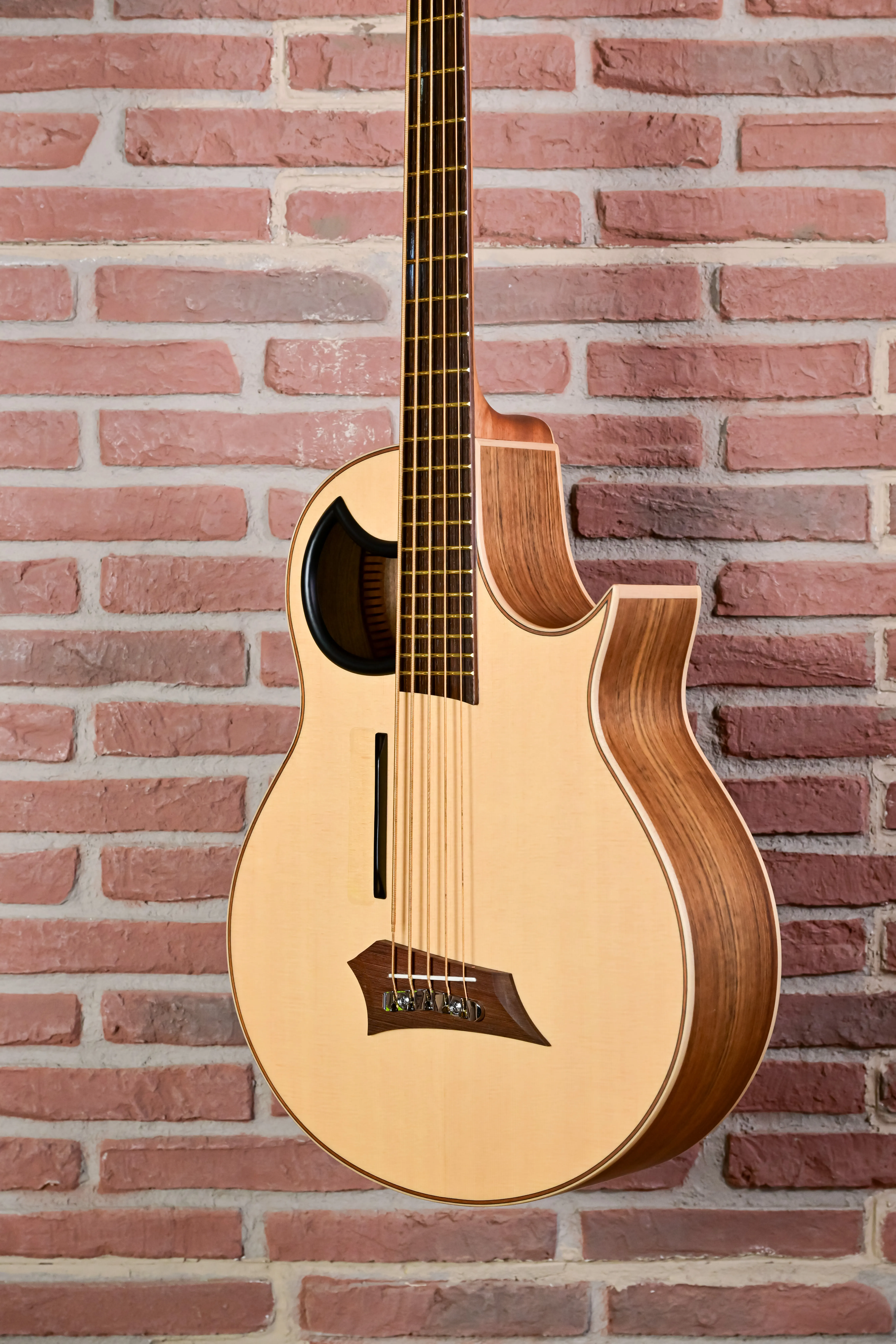 Alien 5 Natural 5-String Acoustic Bass Fretted (B-Stock)