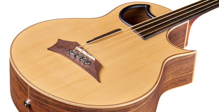Alien, 4-String, Fretless - Natural Transparent Satin