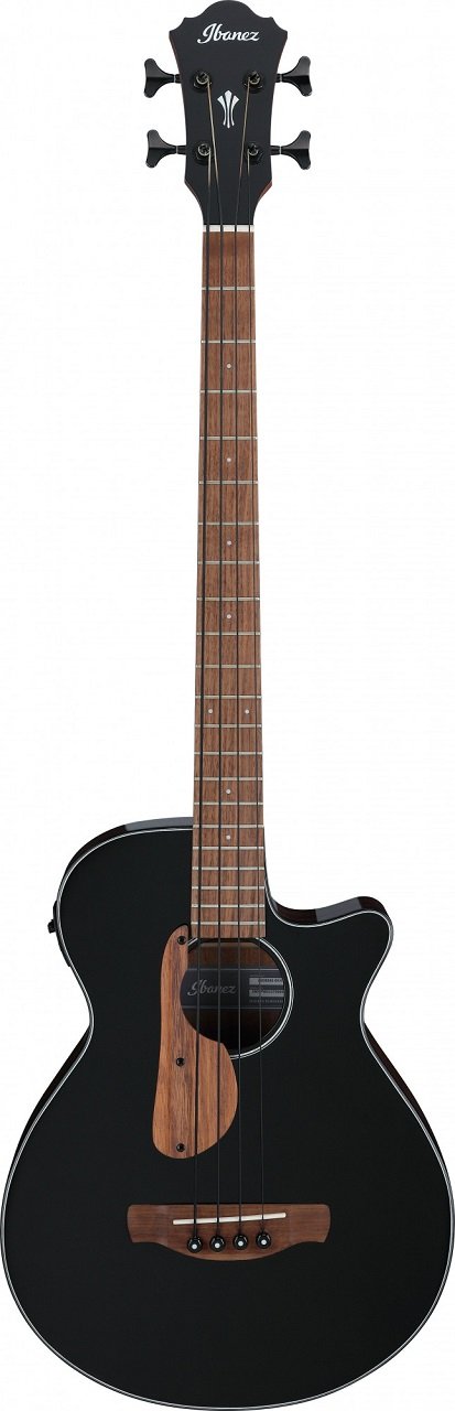 AEGB24E-BKH 4-Saiter Akustikbass 