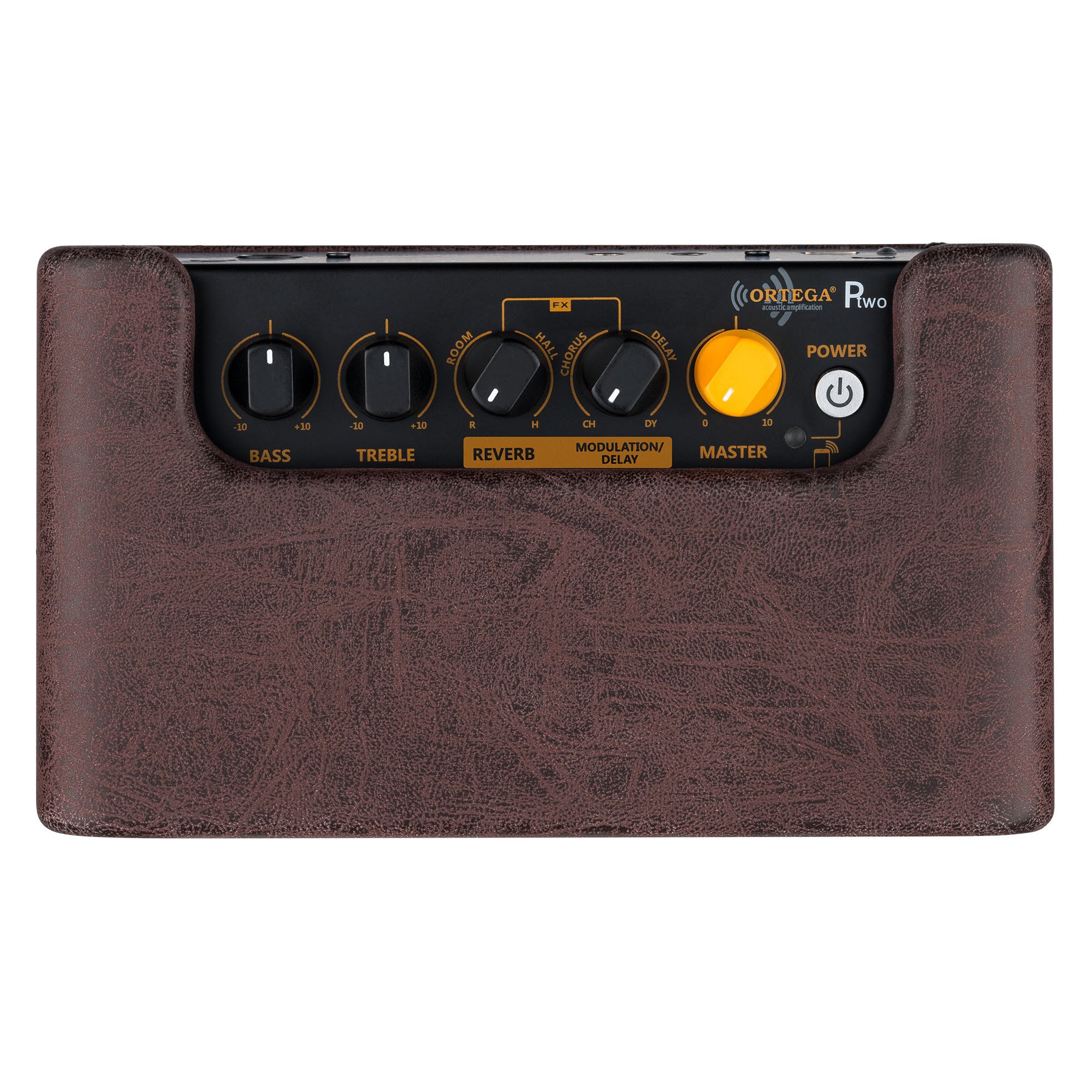 PTWO Bluetooth Verstärker/Lautsprecher mit Effekten 12 Watt