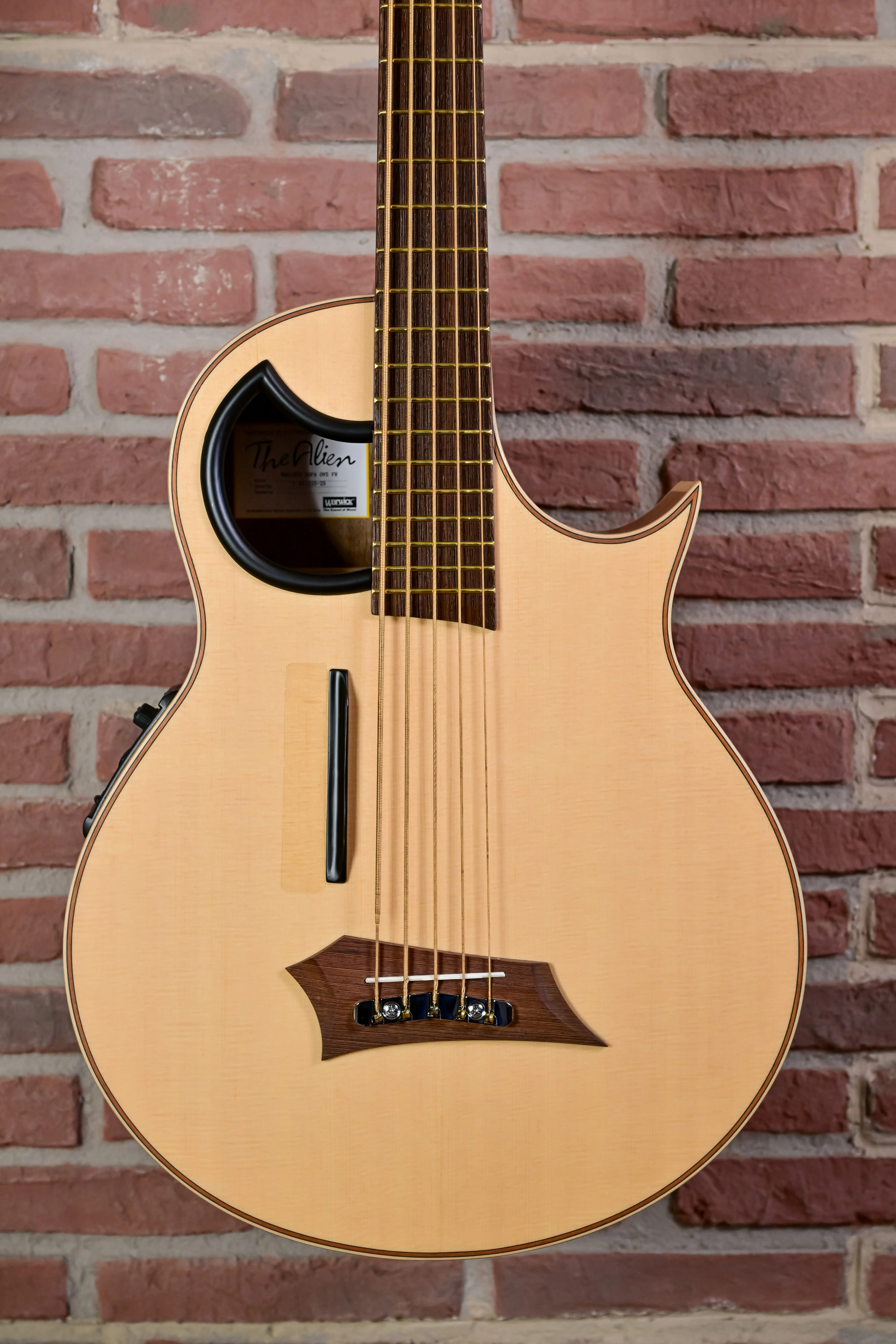Alien 5 Natural 5-String Acoustic Bass Fretted (B-Stock)