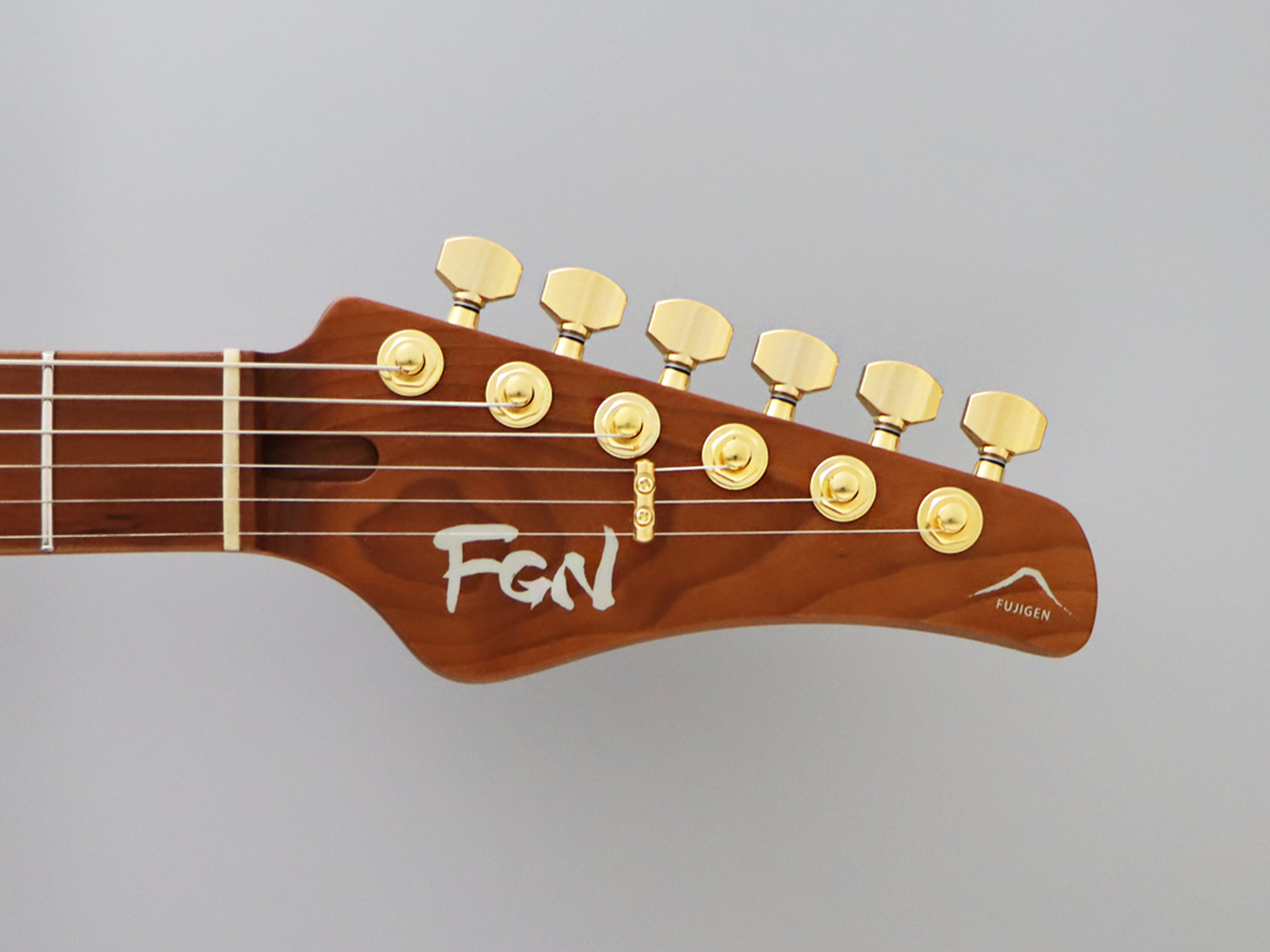 Expert Iliad EW Vintage Natural E-Gitarre
