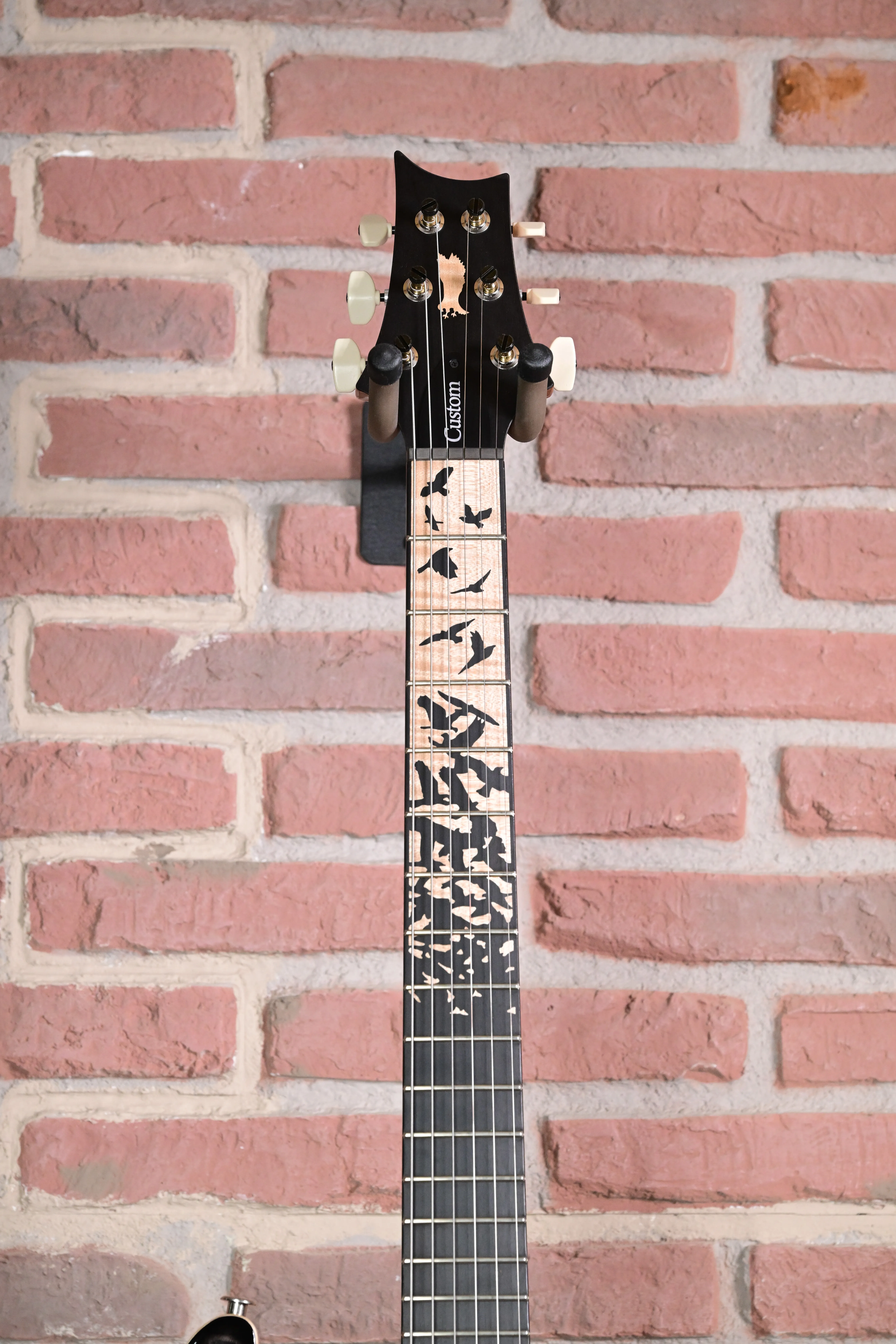 Custom 24 Birds of a Feather Limited Charcoal Microburst E-Gitarre