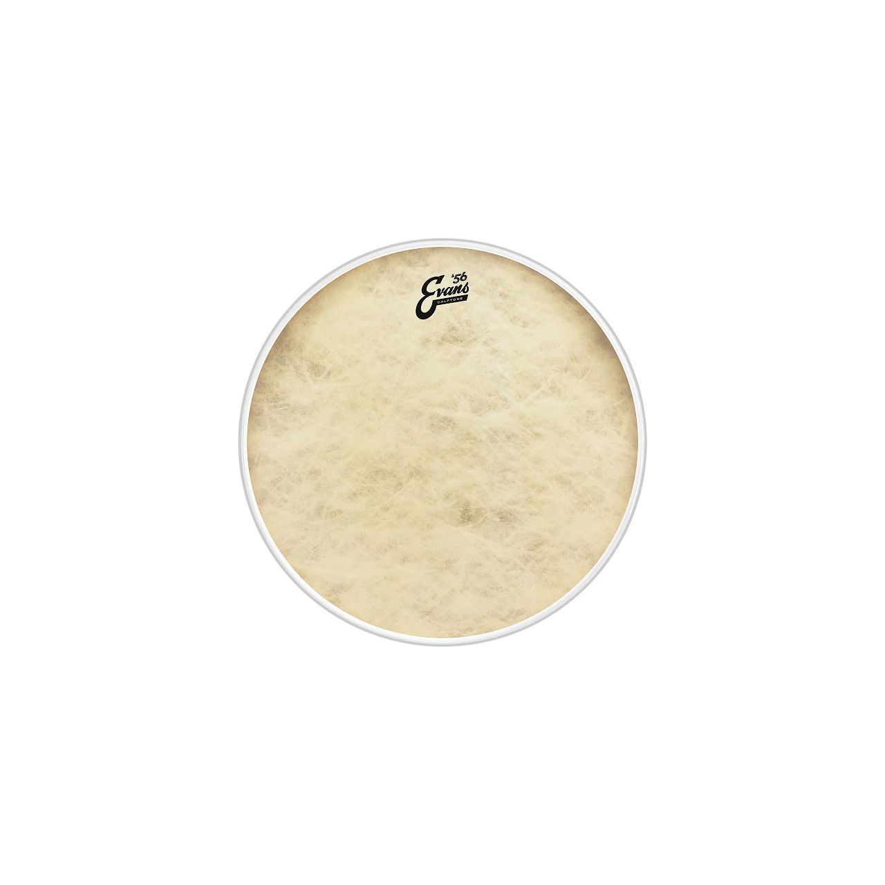 15" Calftone - Tom Fell
