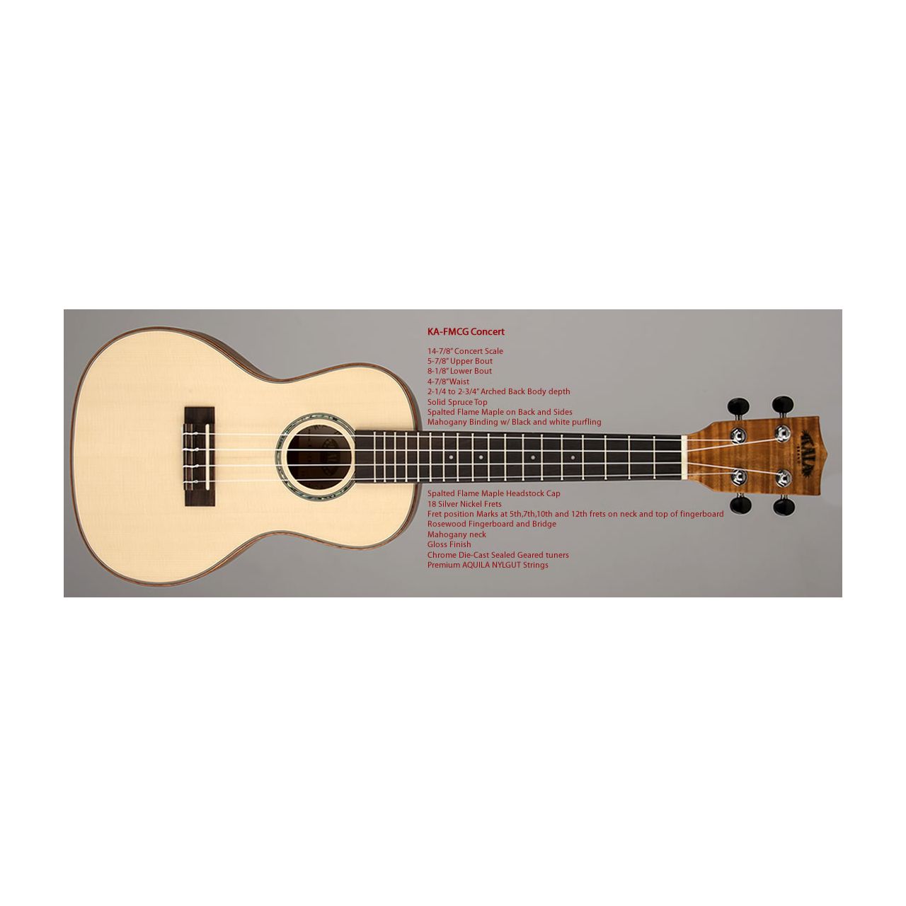 Solid Spruce Top Concert Uke Flamed Spalted Map with Concert Case (UC-C)