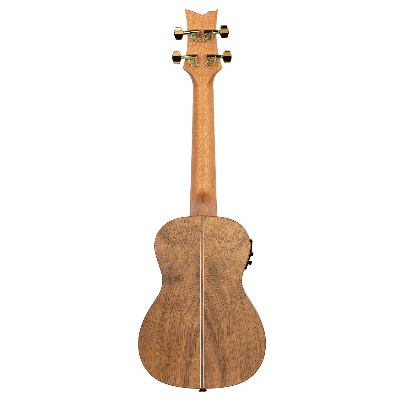 RLIZARD-CC Ukulele Concert Paldao