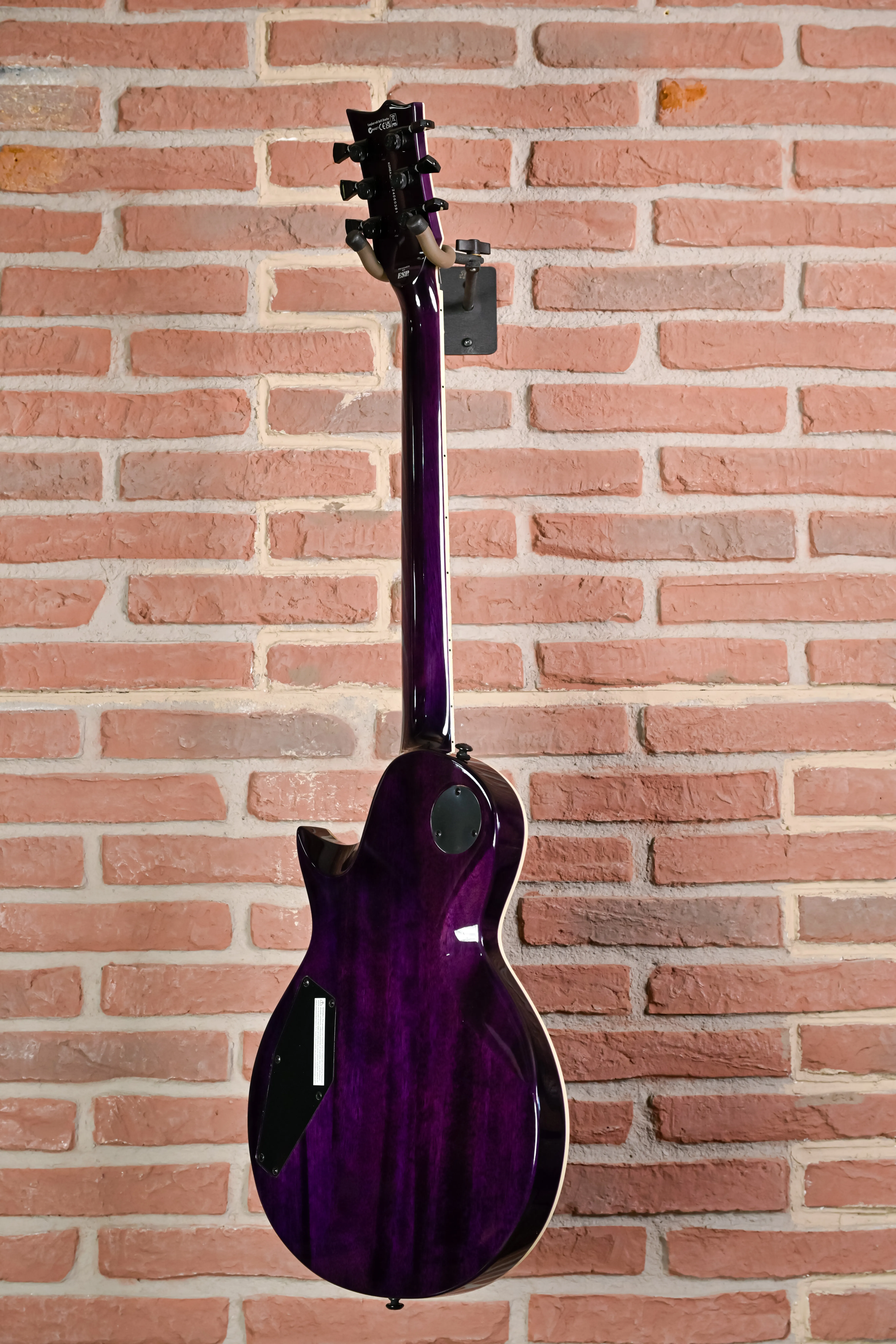 EC-1000 FMSTP Flamed Maple See Thru Purple E-Gitarre