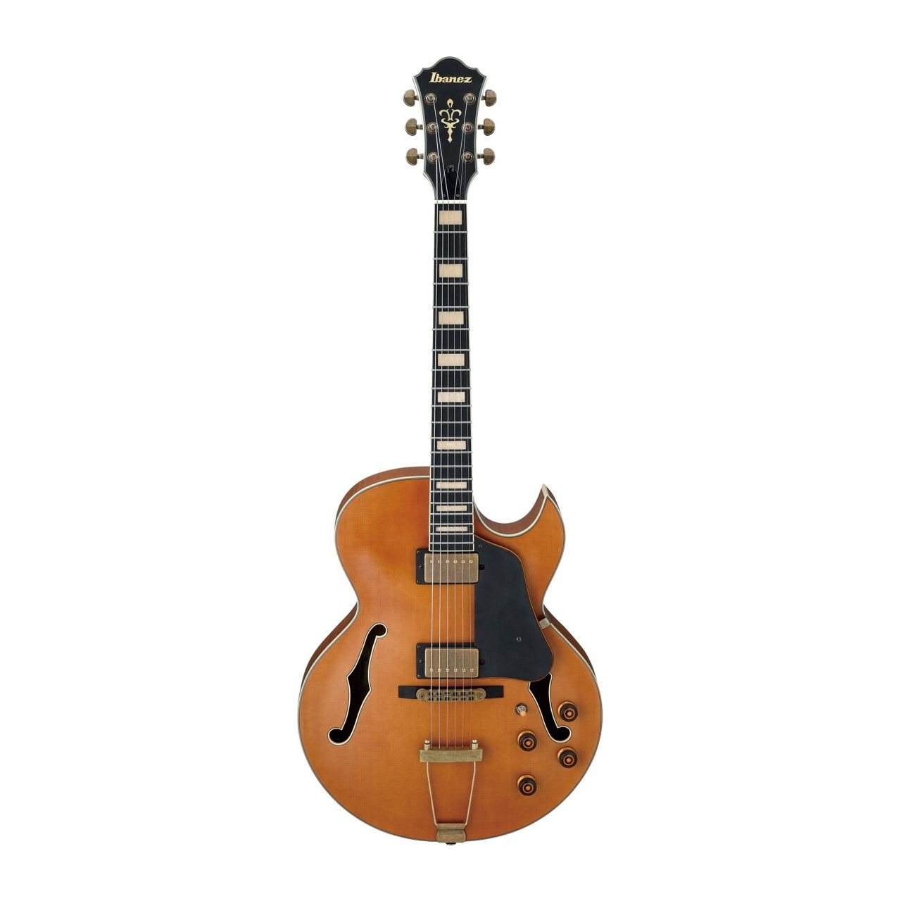 AKJV95-DAL Hollowbody E-Gitarre