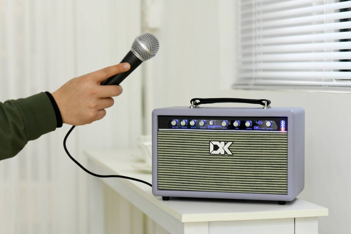 iC-30 Acoustic Guitar Amplifier