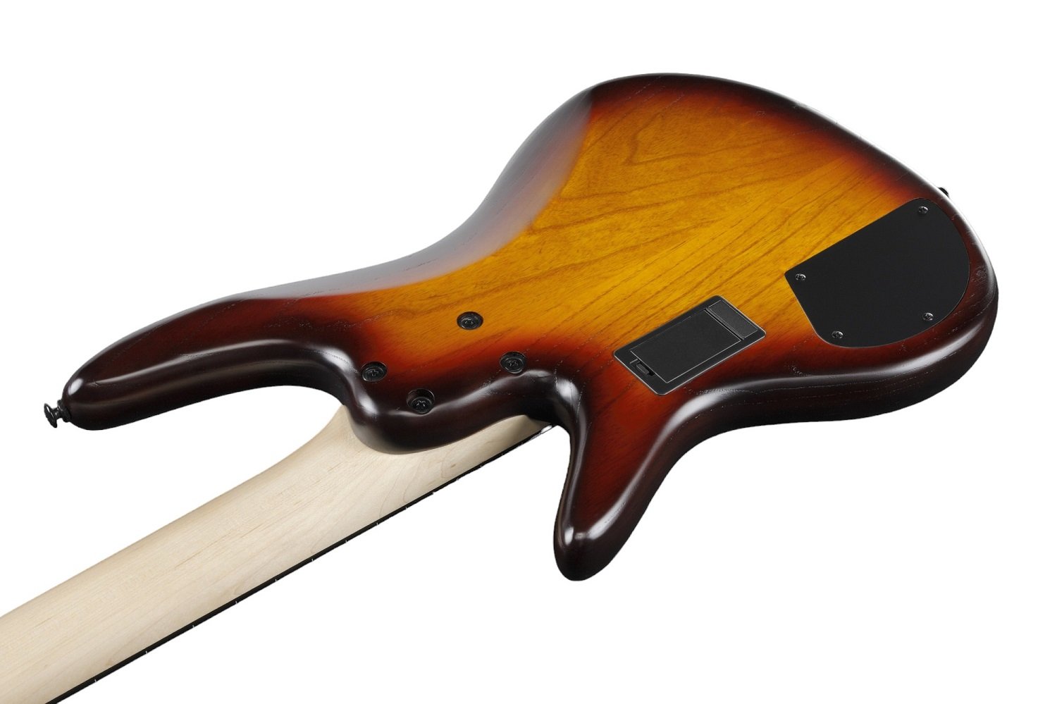 GWB205-TQF Garry Willis Signature