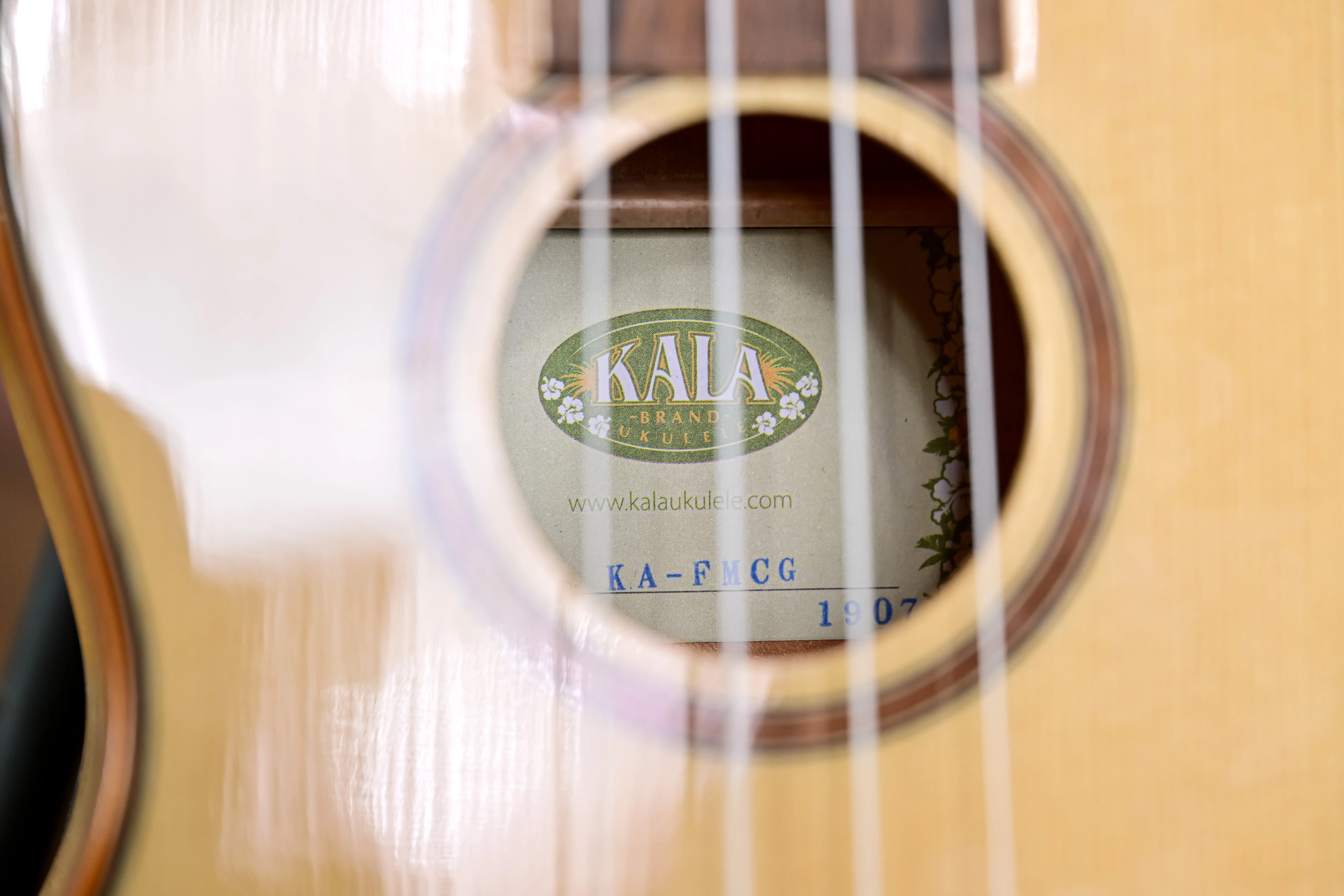 Solid Spruce Top Concert Uke  (B-Stock) 
