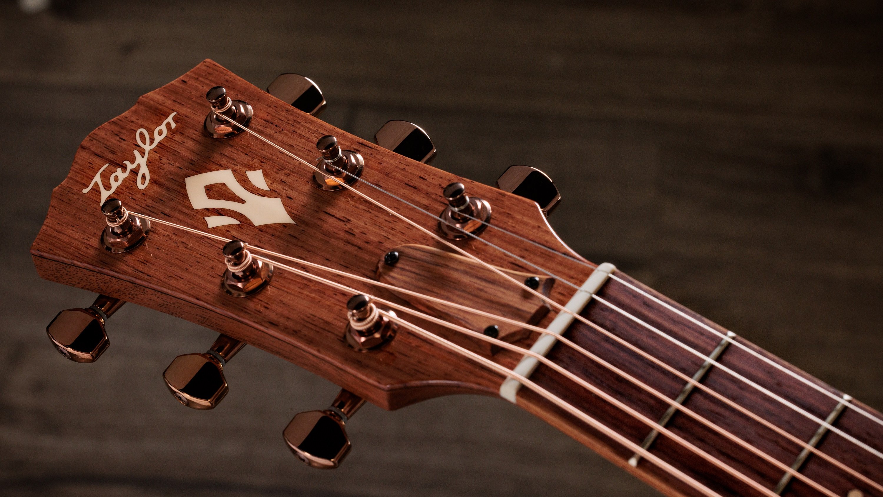 Ben Harper Gold Label 512e