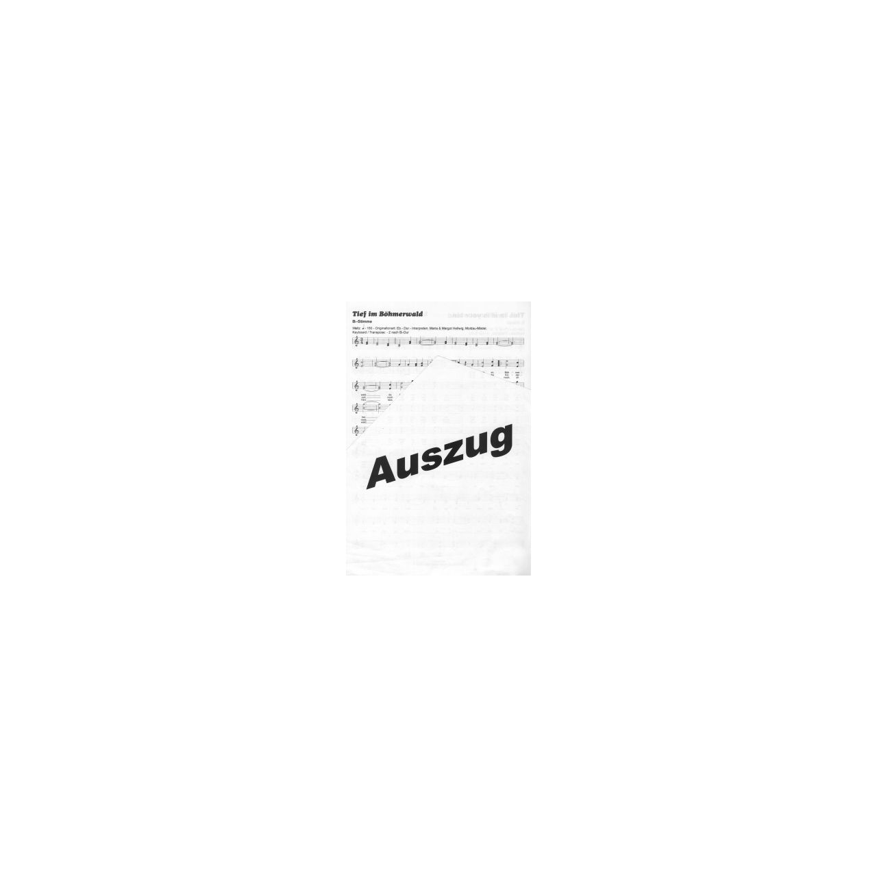 100 Hits für B und E Instrumente