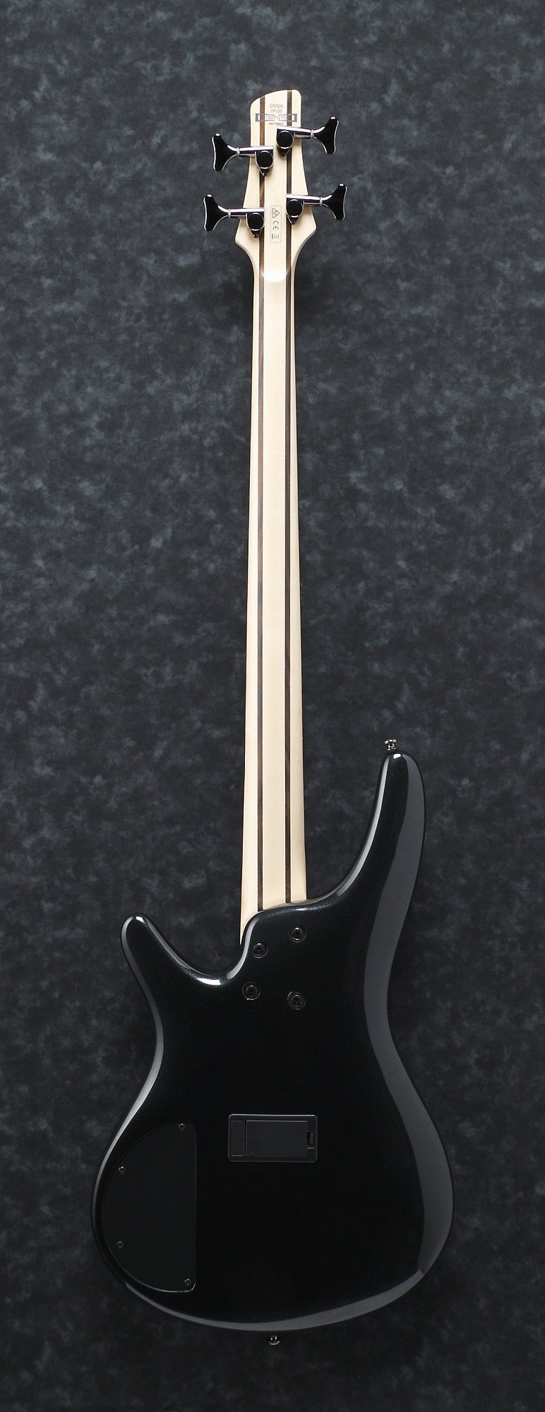 SR300E-IPT